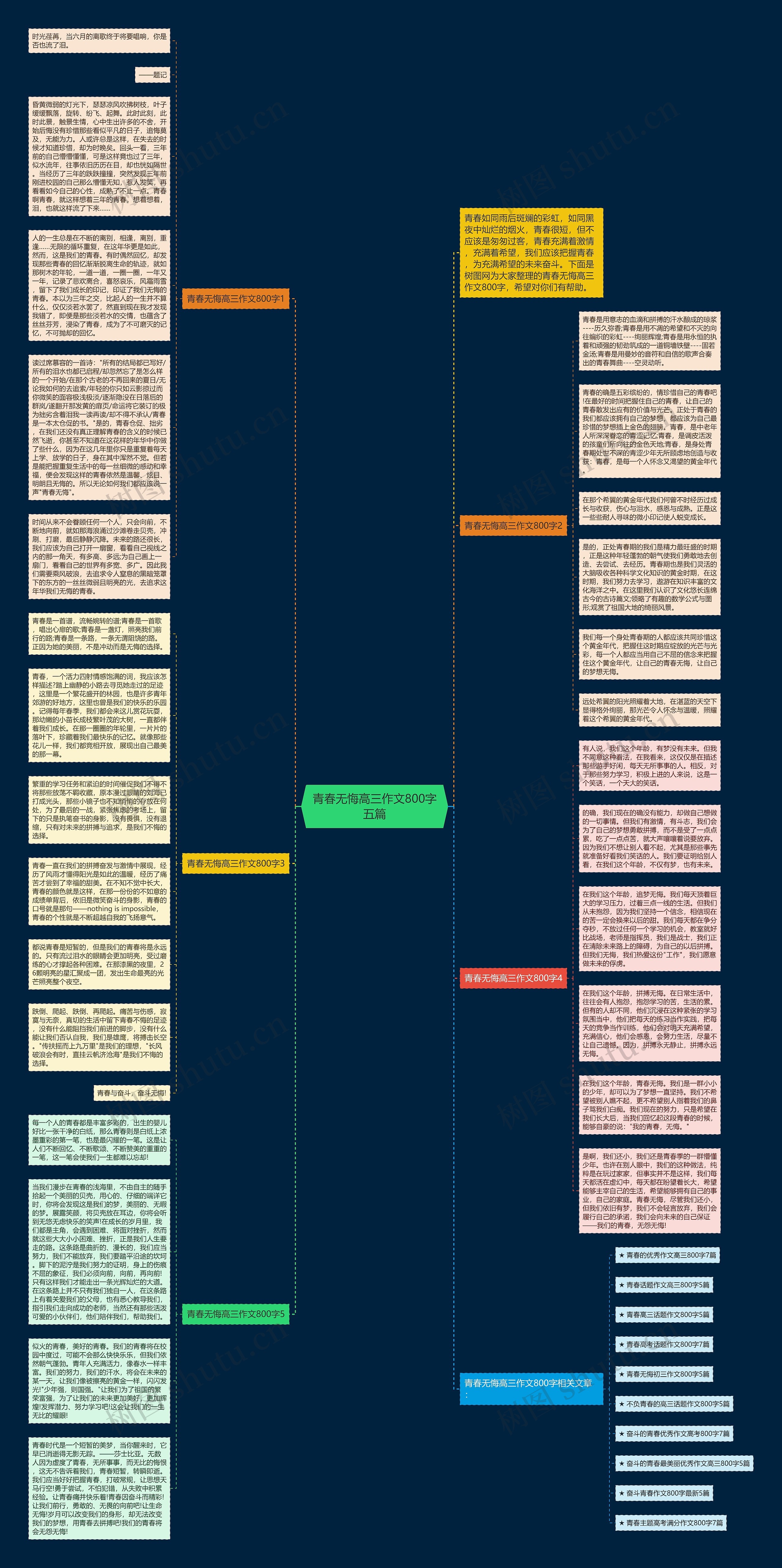 青春无悔高三作文800字五篇