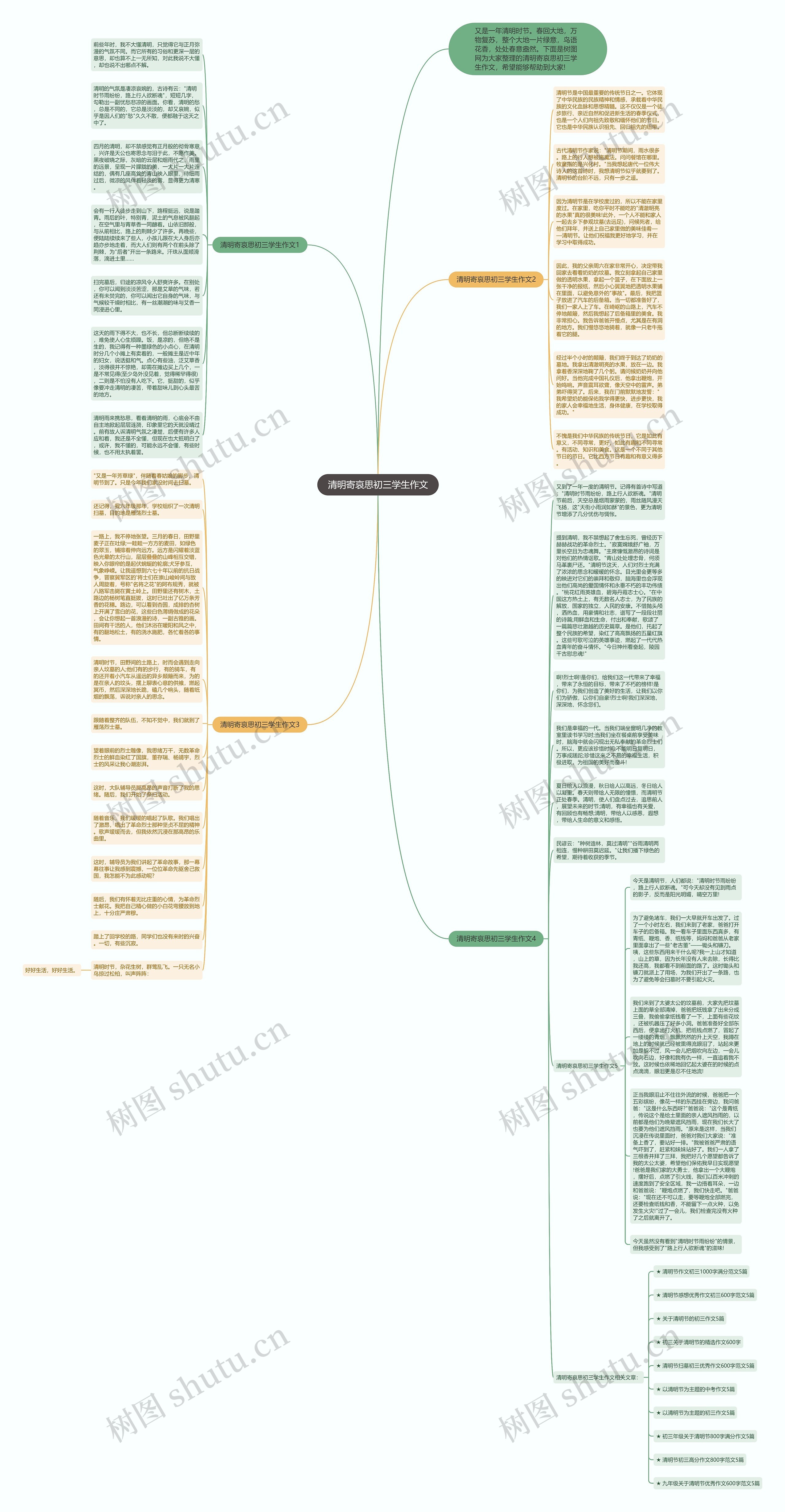 清明寄哀思初三学生作文思维导图