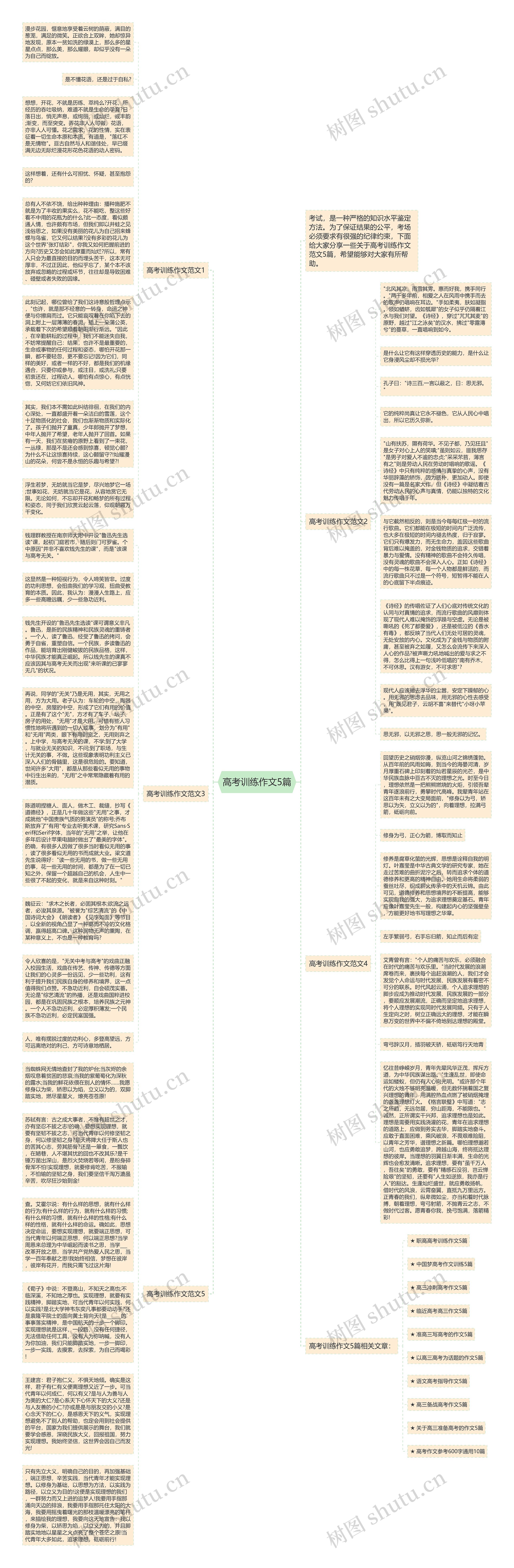 高考训练作文5篇思维导图