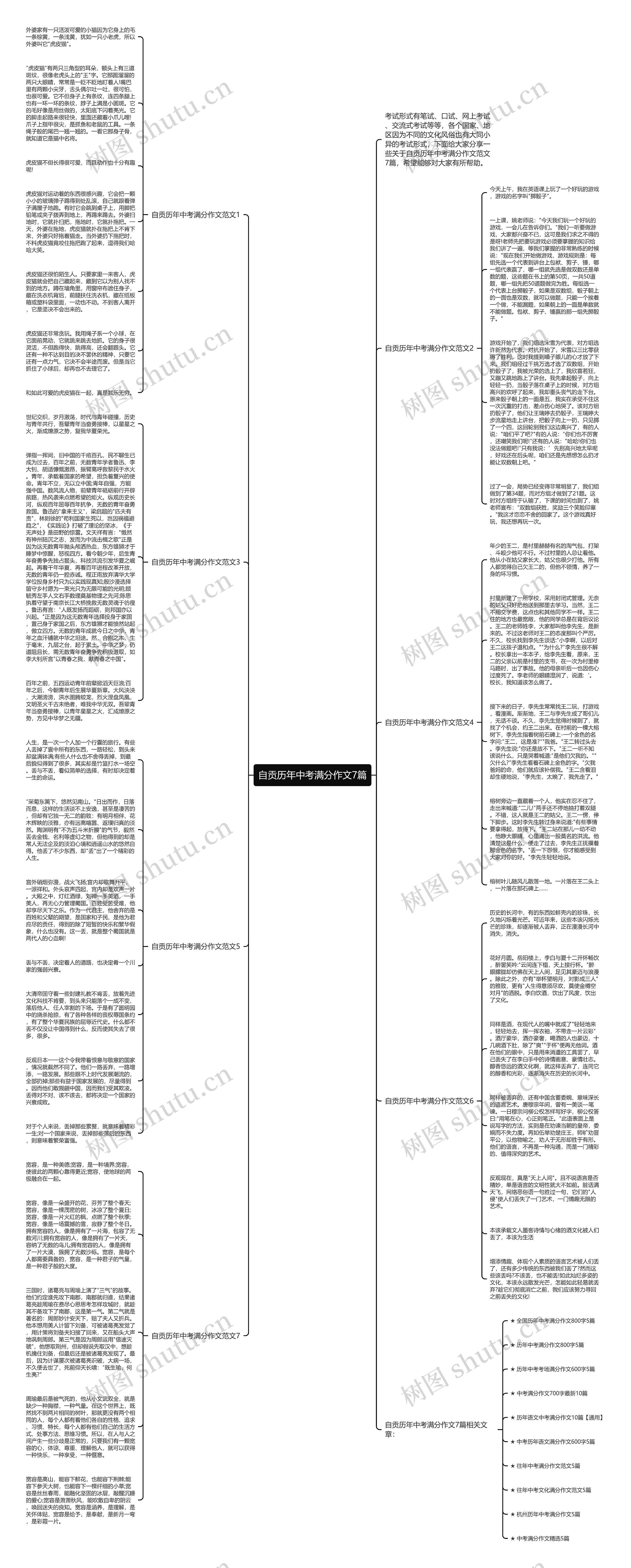 自贡历年中考满分作文7篇思维导图