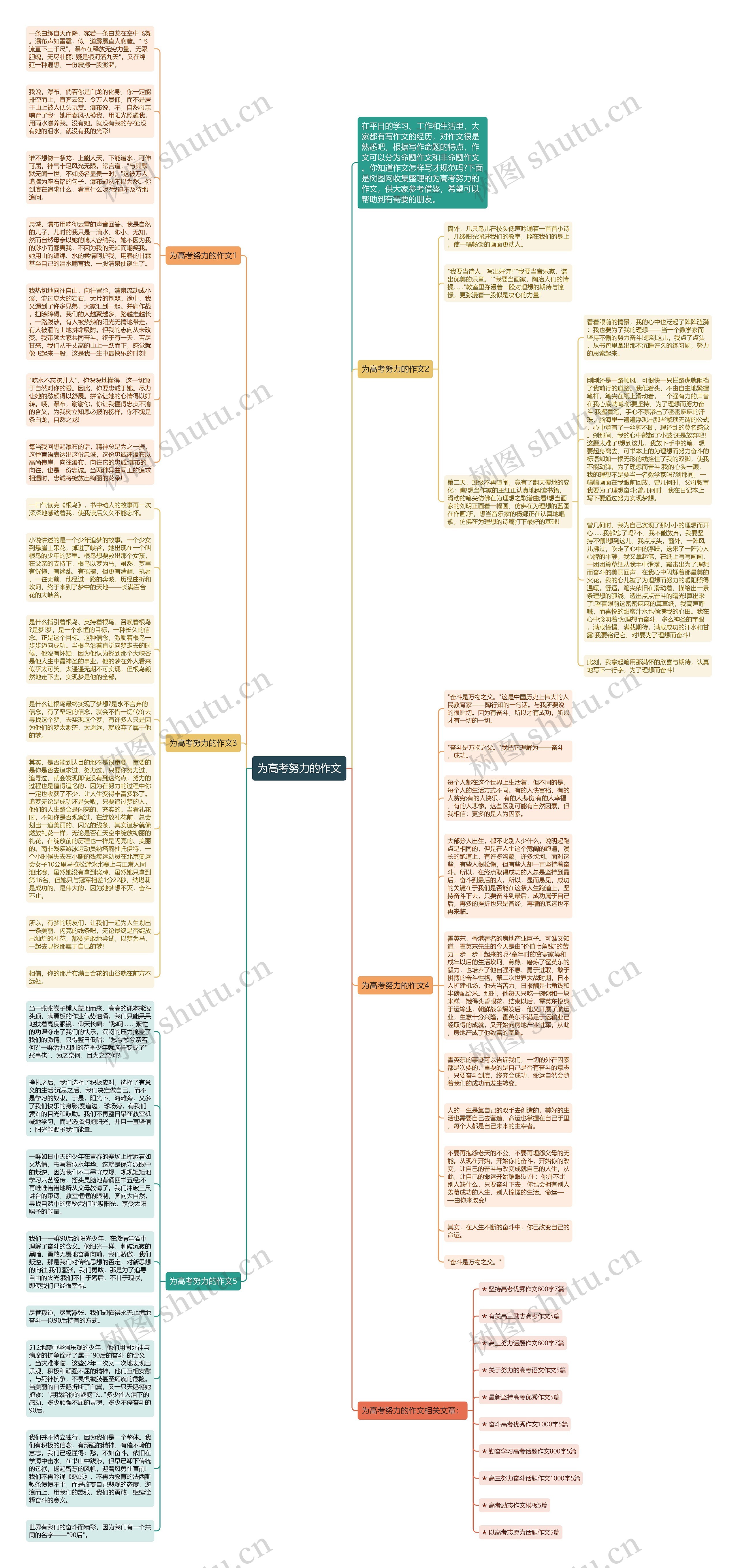 为高考努力的作文思维导图