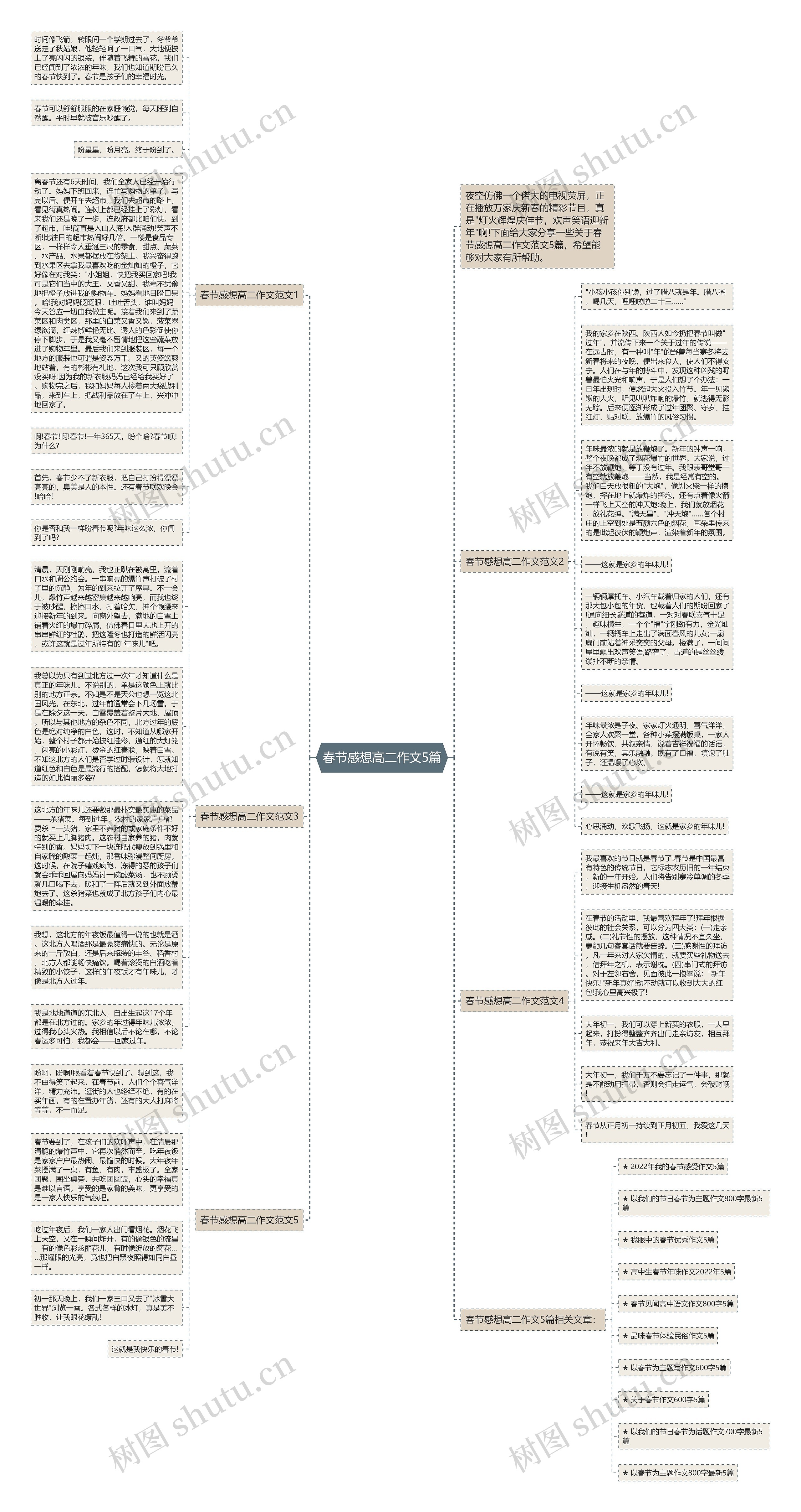 春节感想高二作文5篇思维导图