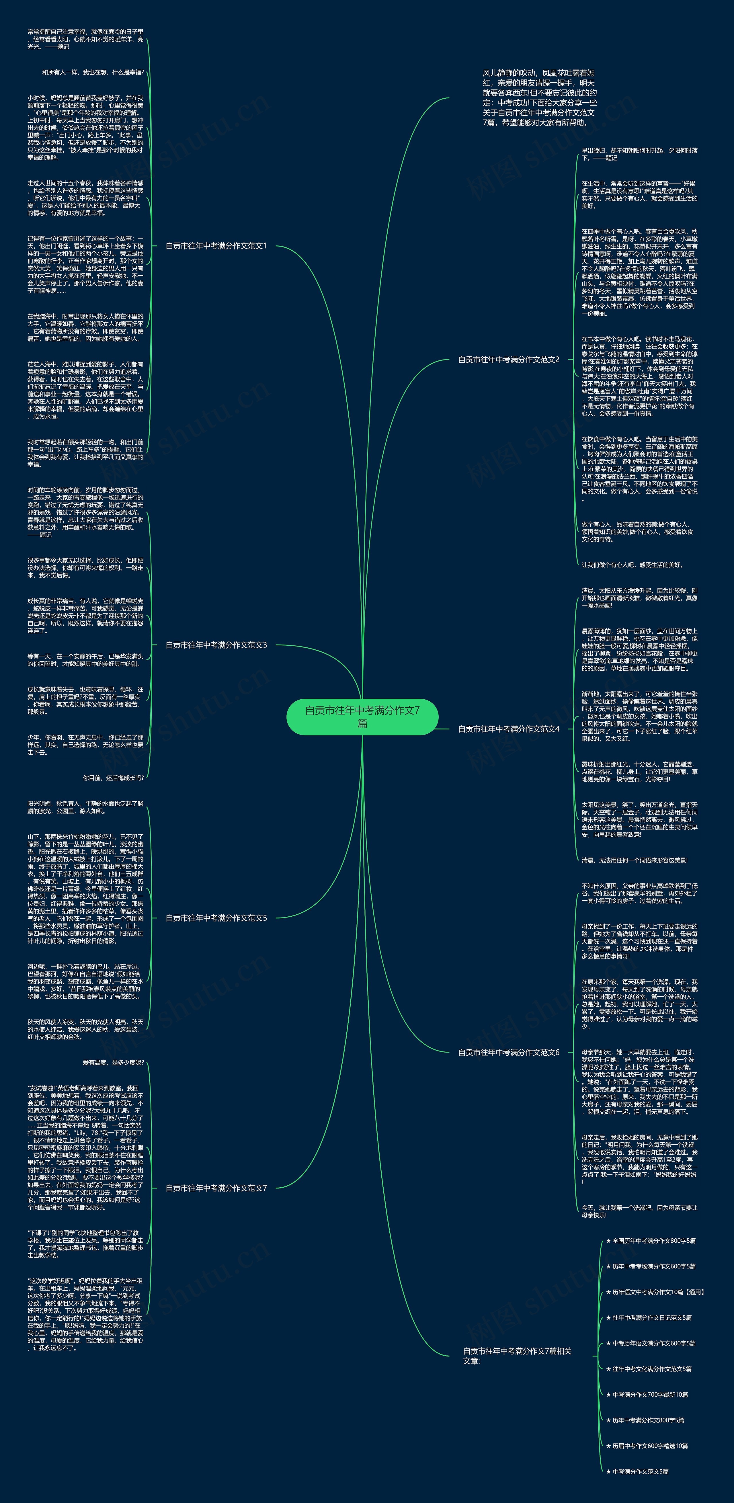 自贡市往年中考满分作文7篇思维导图