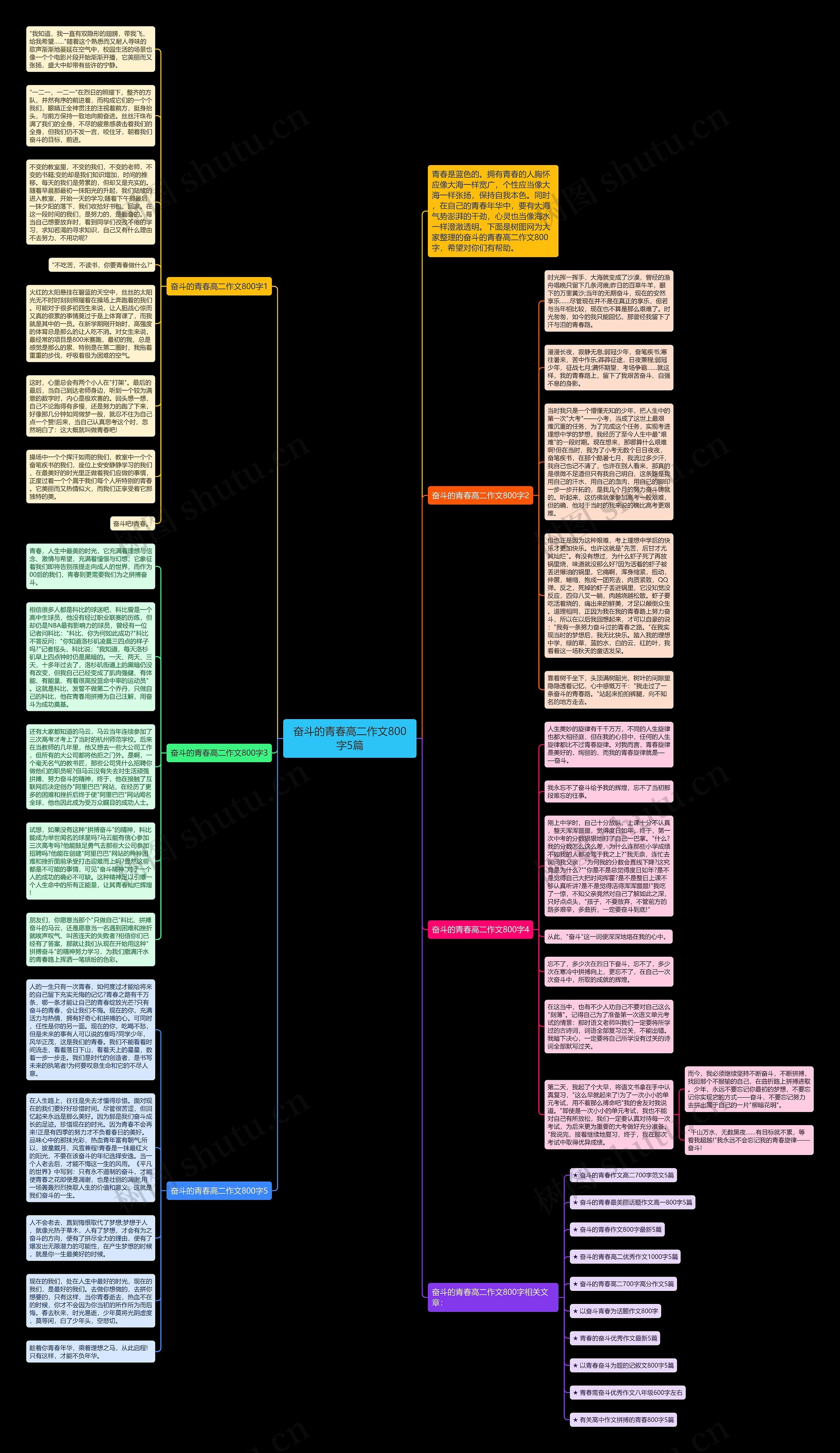 奋斗的青春高二作文800字5篇思维导图