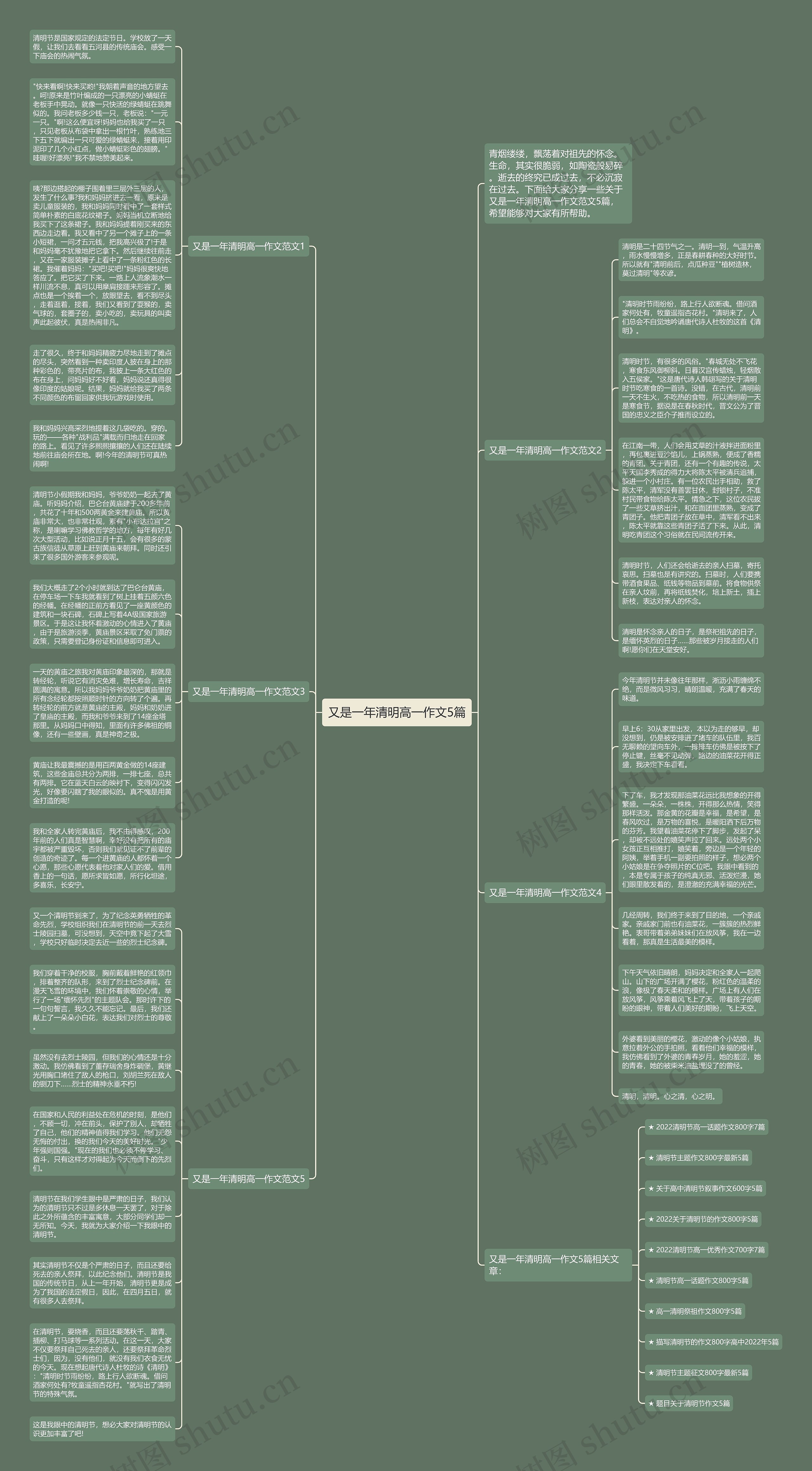 又是一年清明高一作文5篇思维导图
