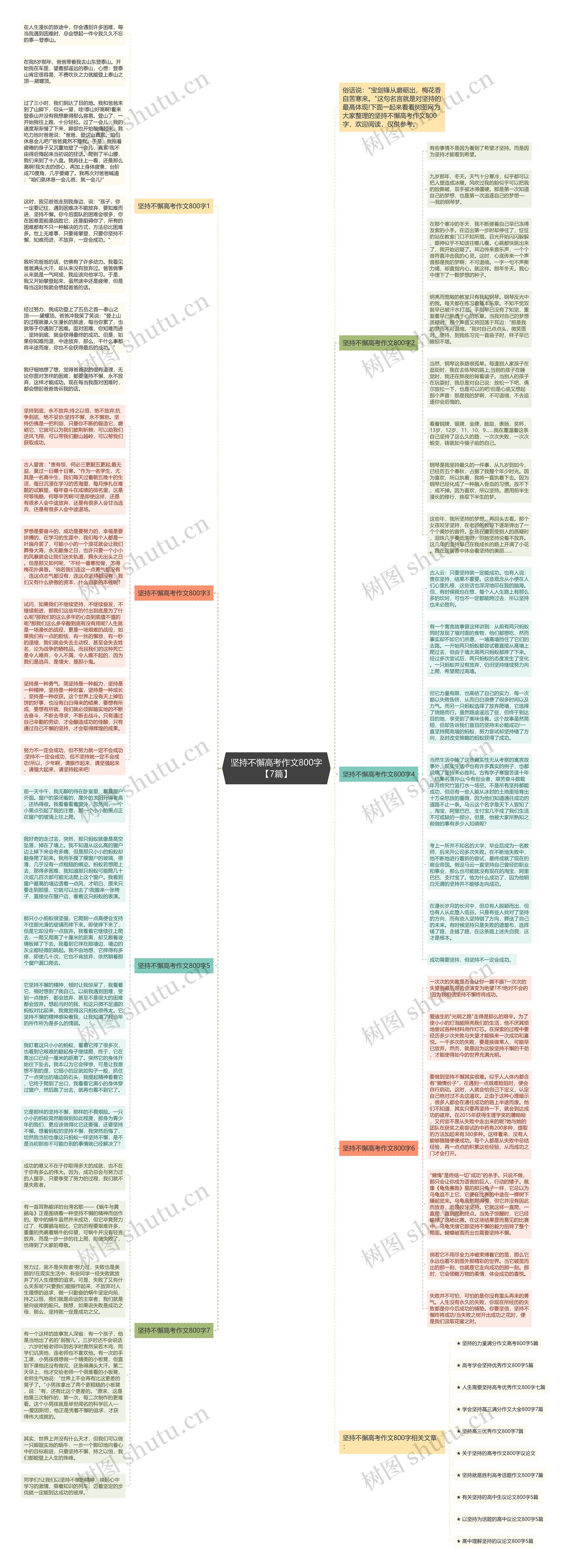 坚持不懈高考作文800字【7篇】思维导图