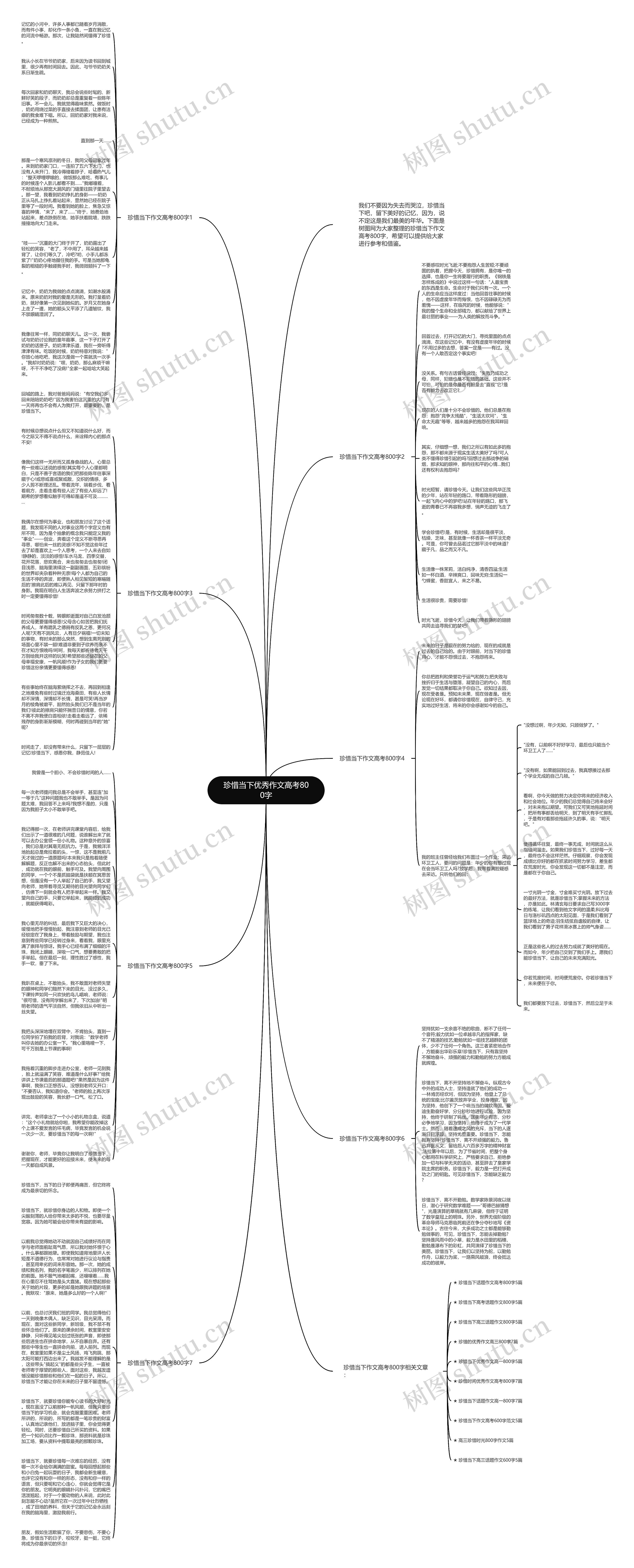 珍惜当下优秀作文高考800字思维导图