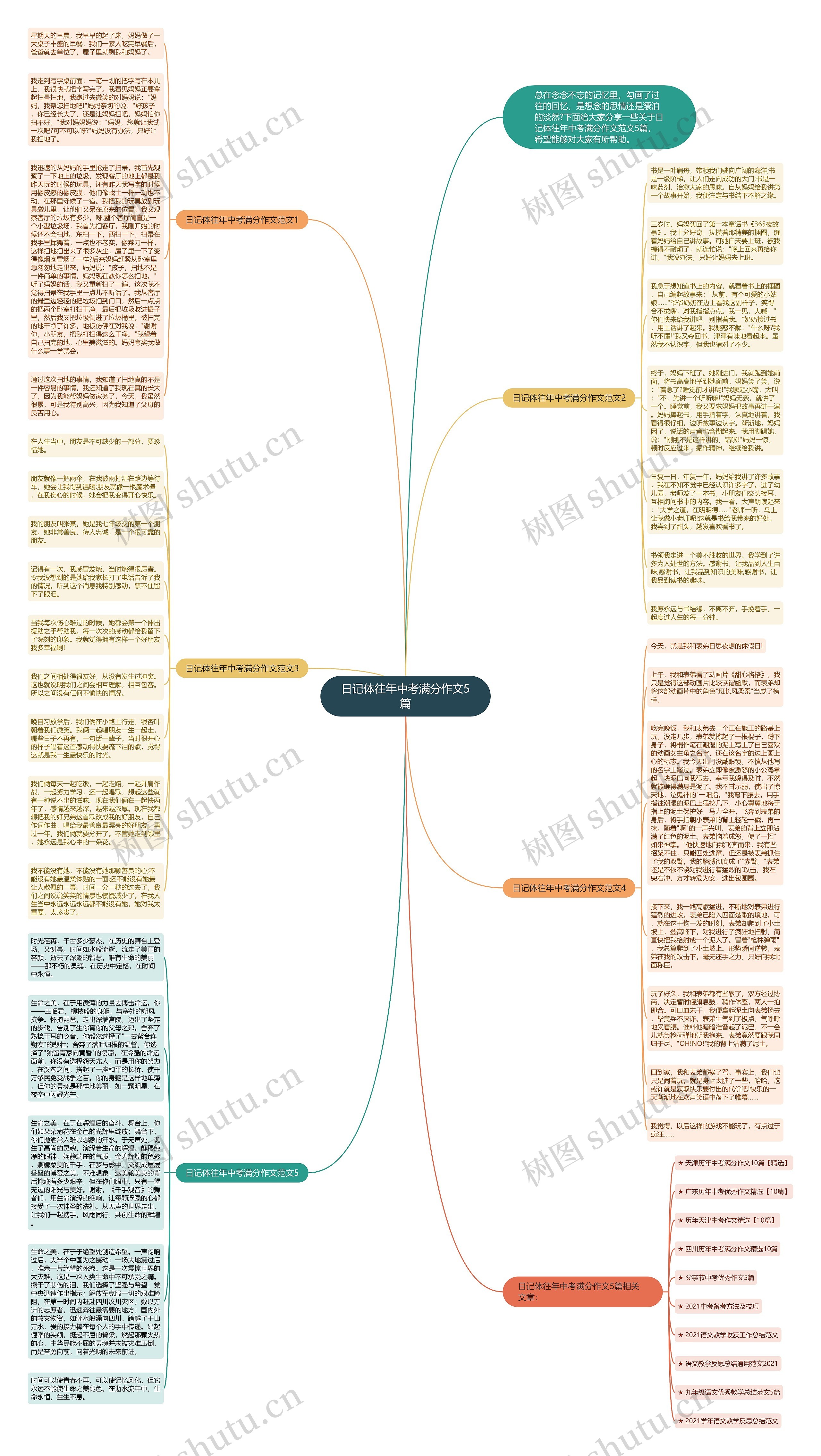 日记体往年中考满分作文5篇思维导图