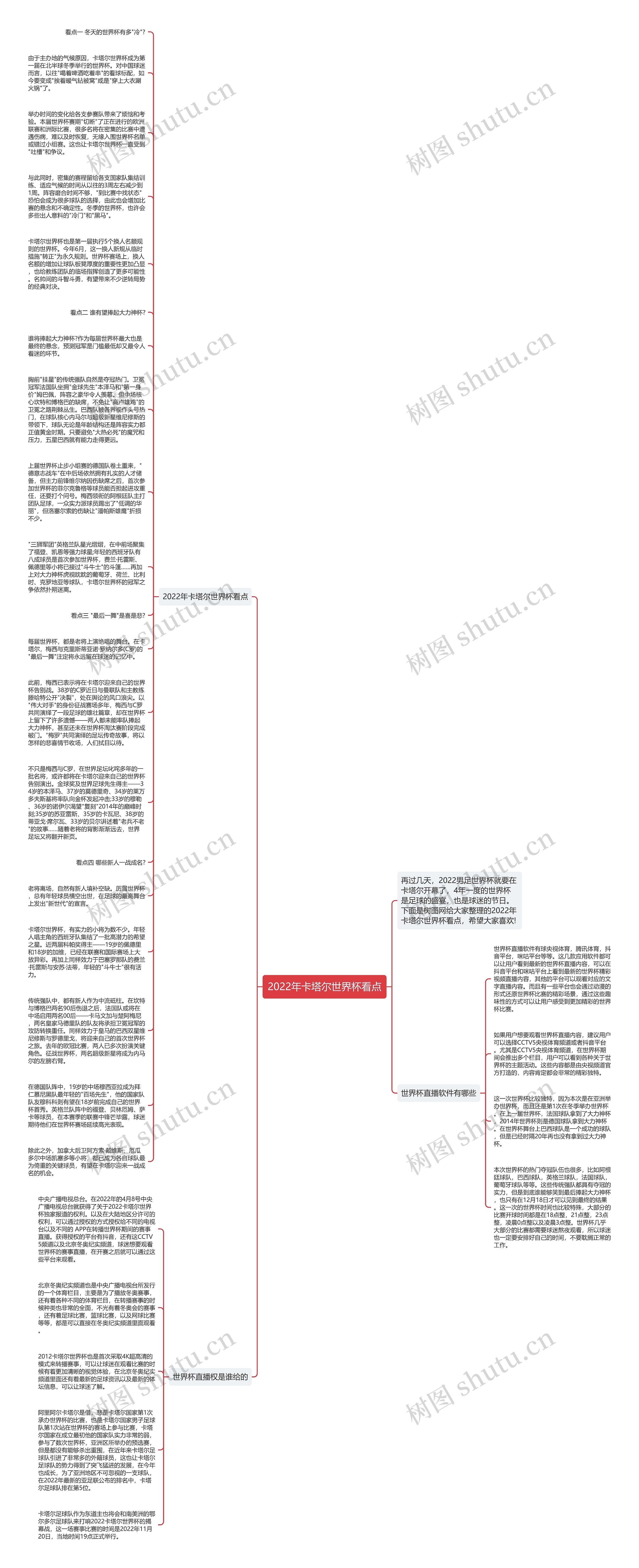 2022年卡塔尔世界杯看点思维导图