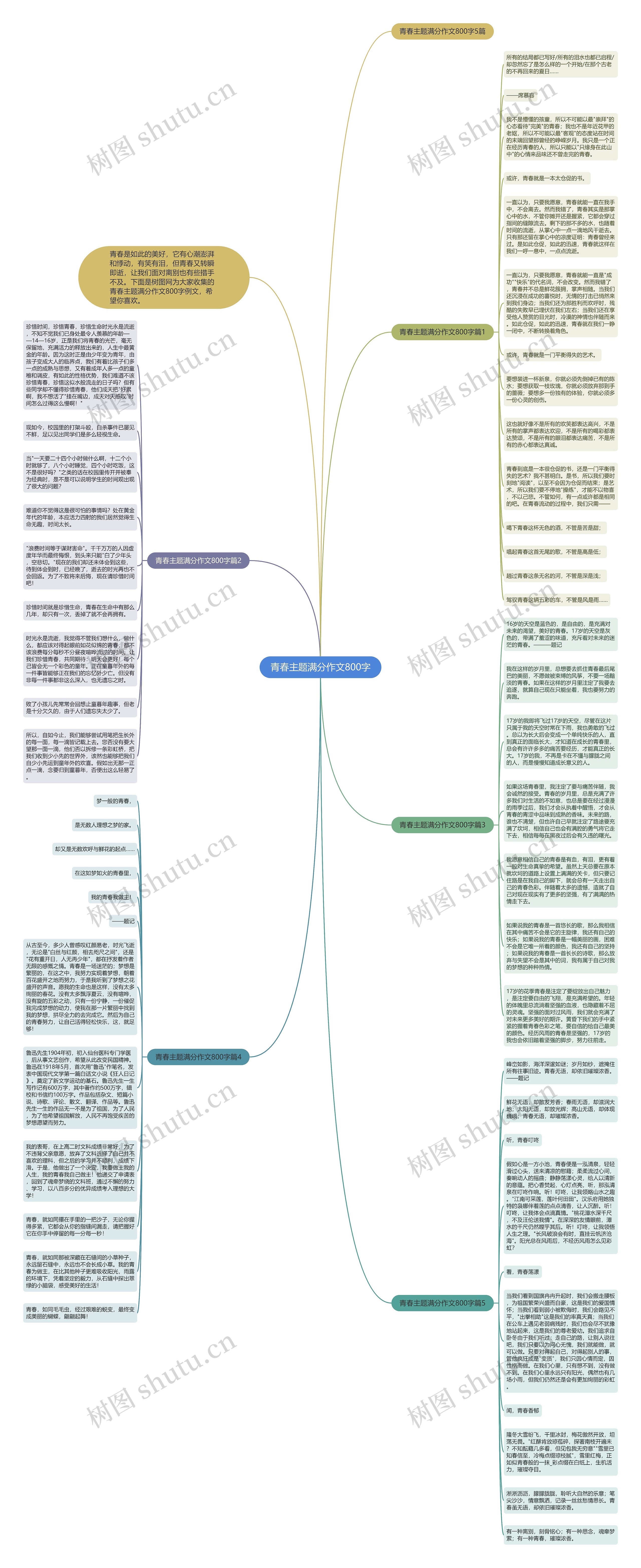 青春主题满分作文800字思维导图