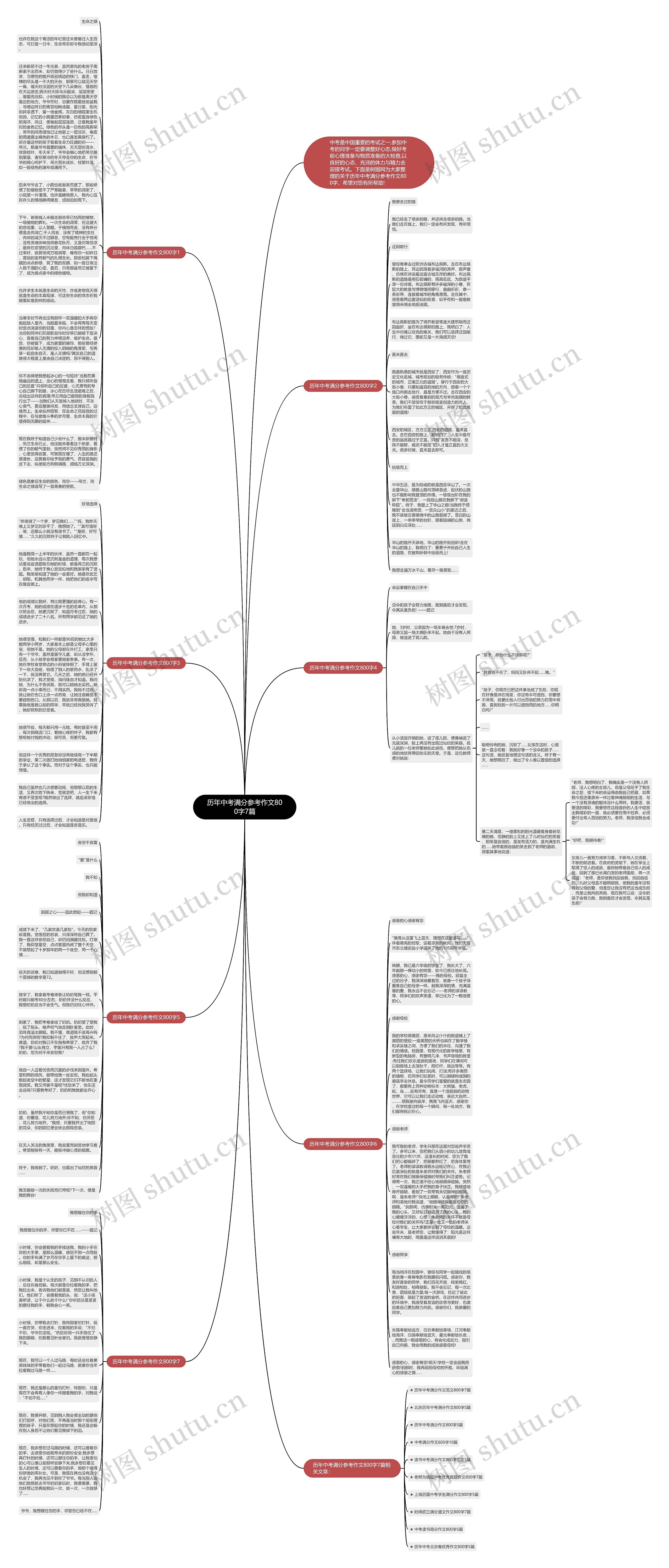 历年中考满分参考作文800字7篇思维导图
