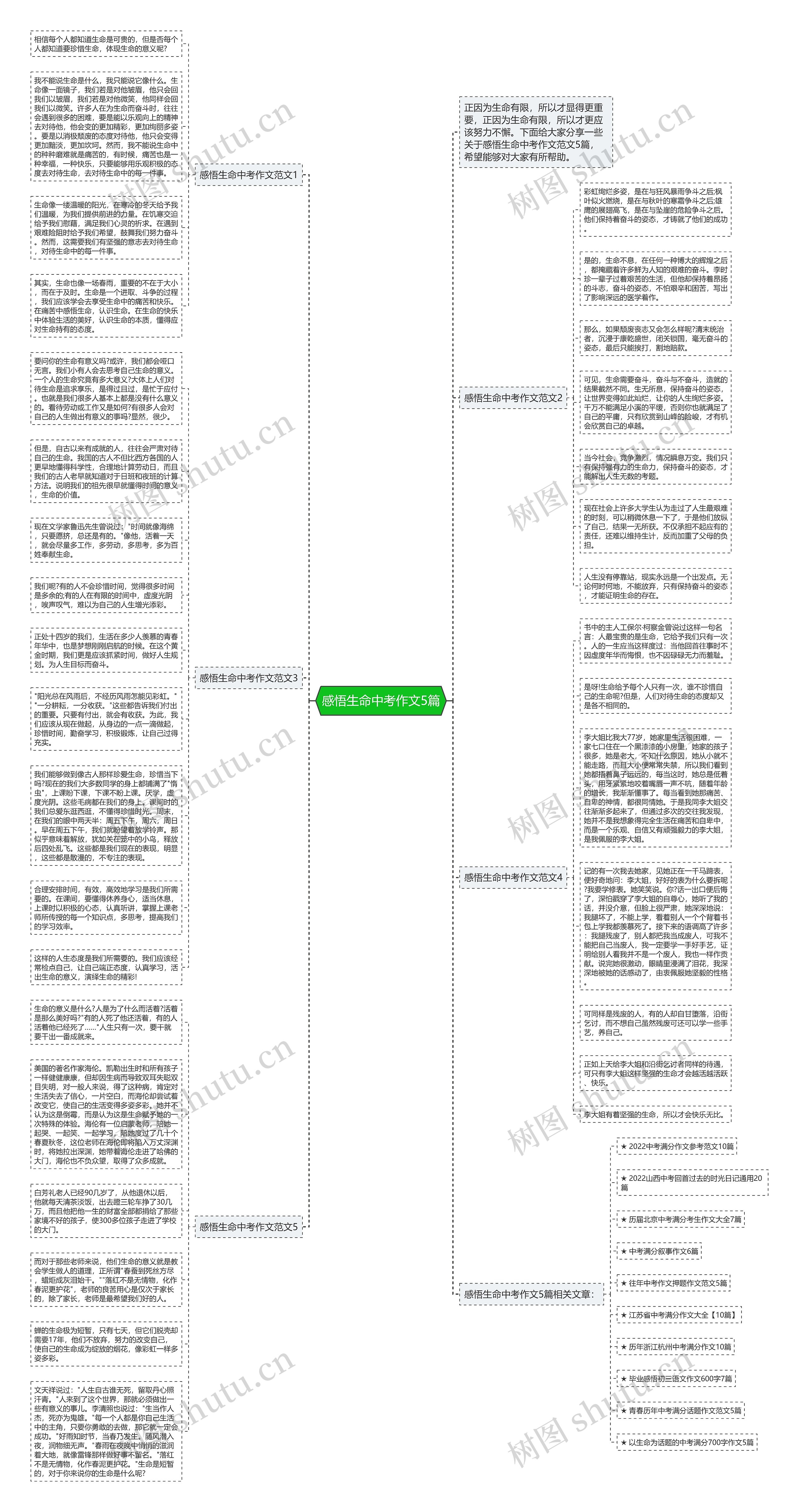 感悟生命中考作文5篇思维导图