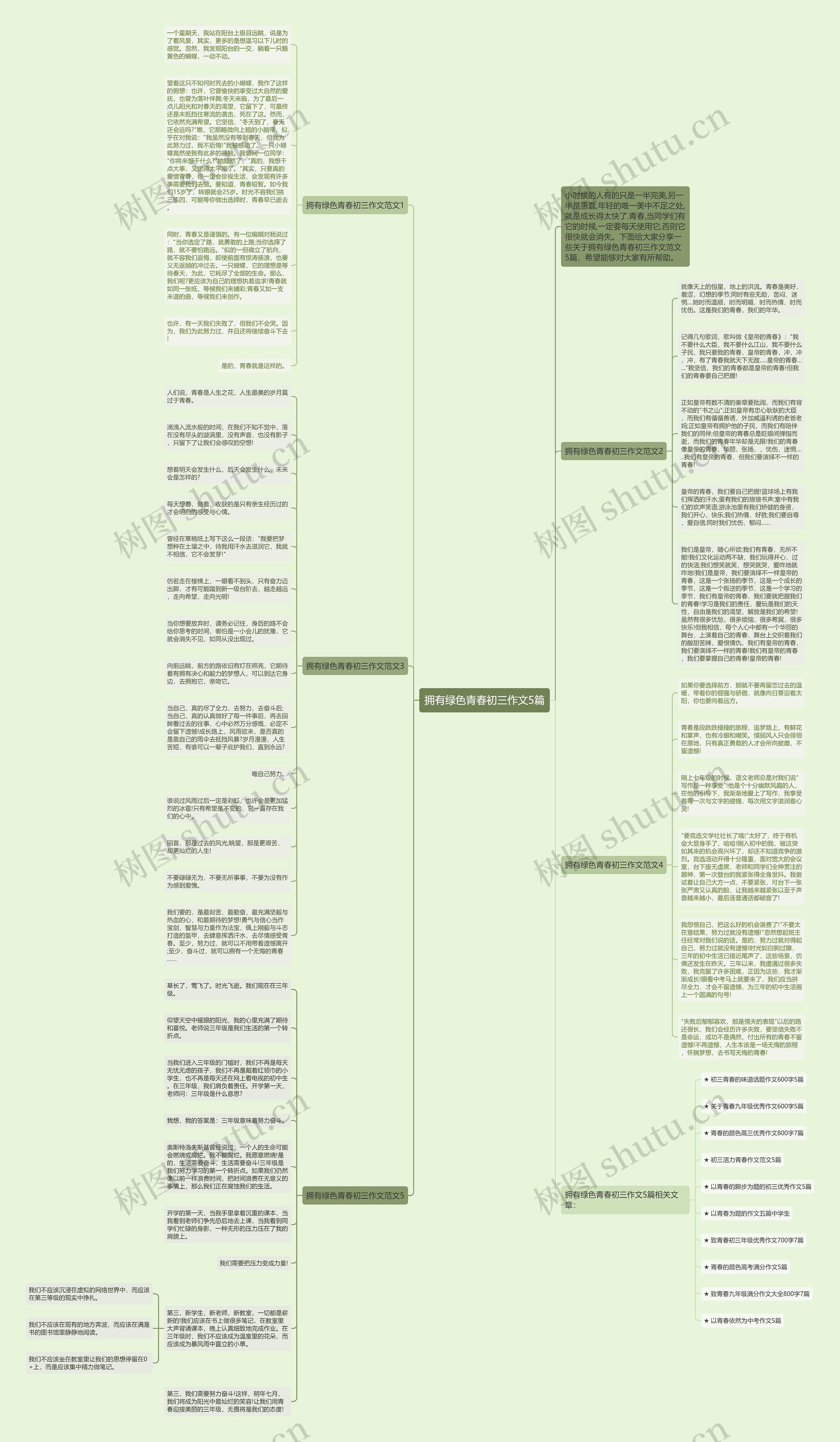 拥有绿色青春初三作文5篇思维导图