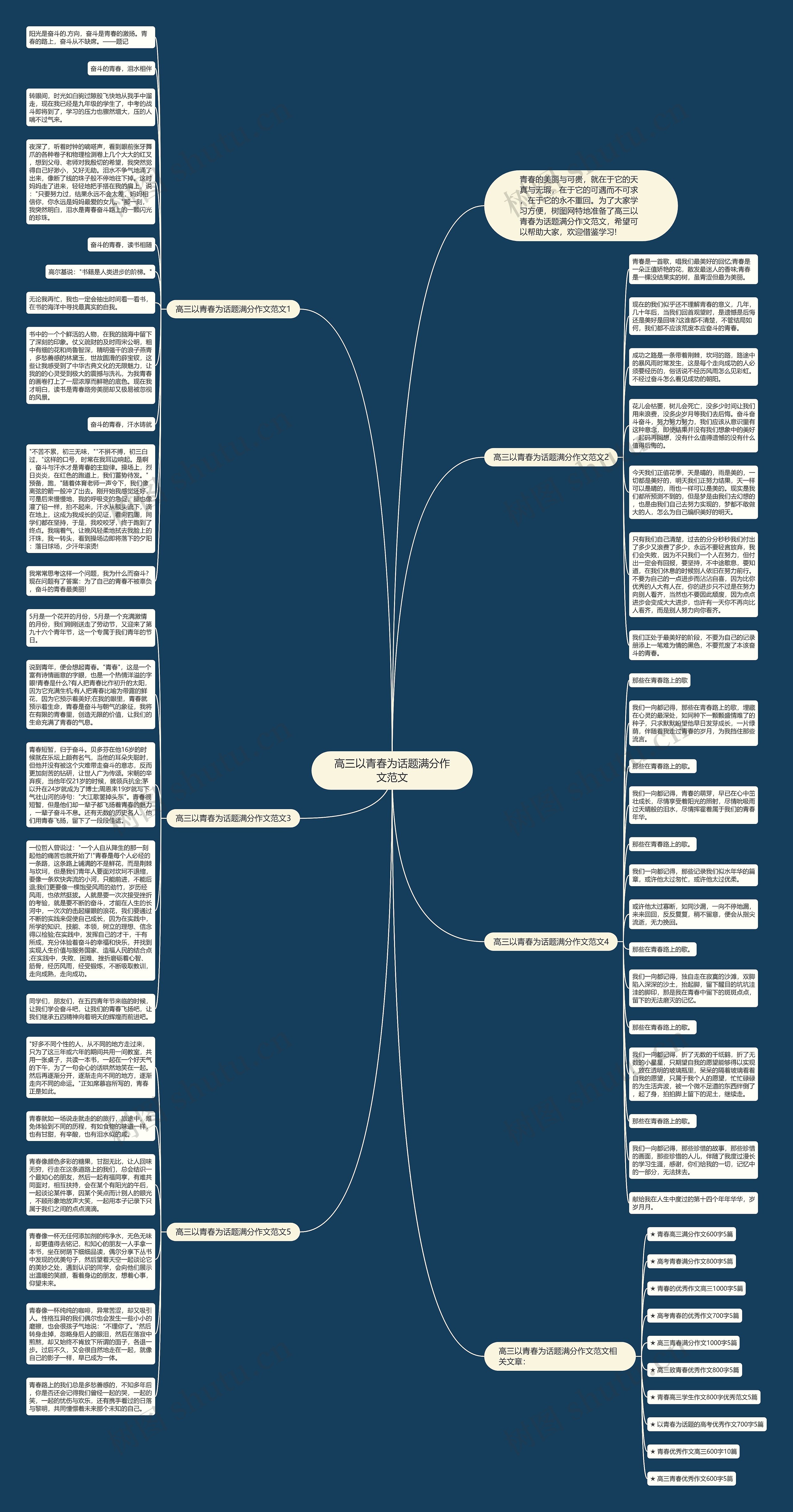 高三以青春为话题满分作文范文思维导图