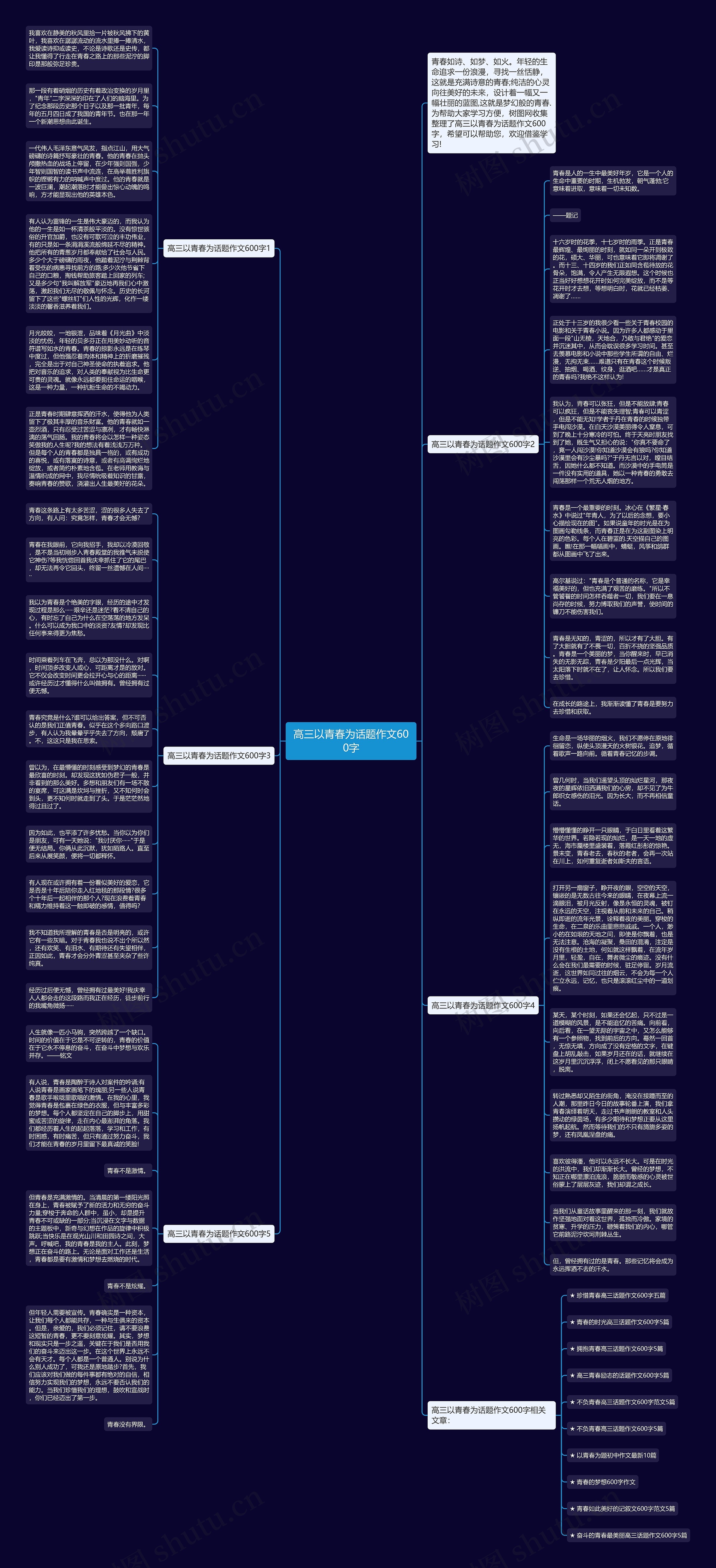 高三以青春为话题作文600字思维导图