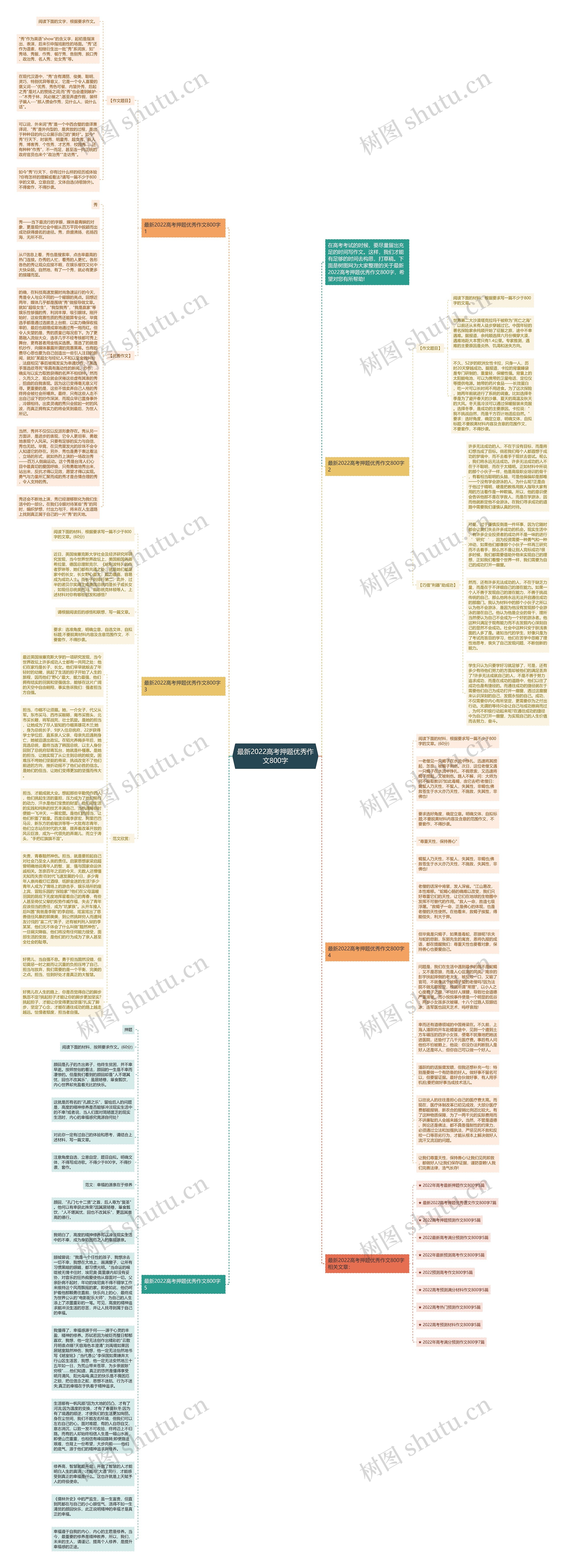 最新2022高考押题优秀作文800字思维导图
