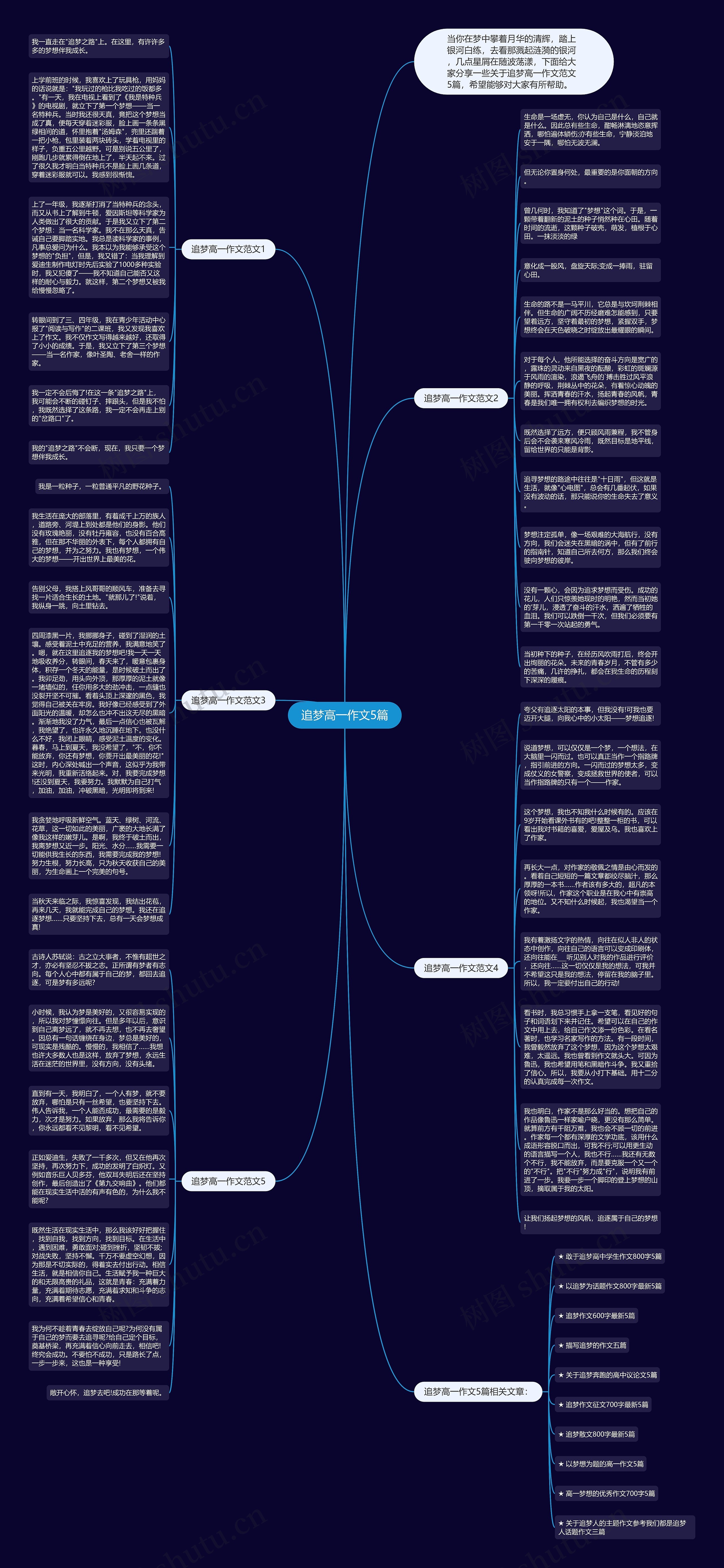 追梦高一作文5篇思维导图