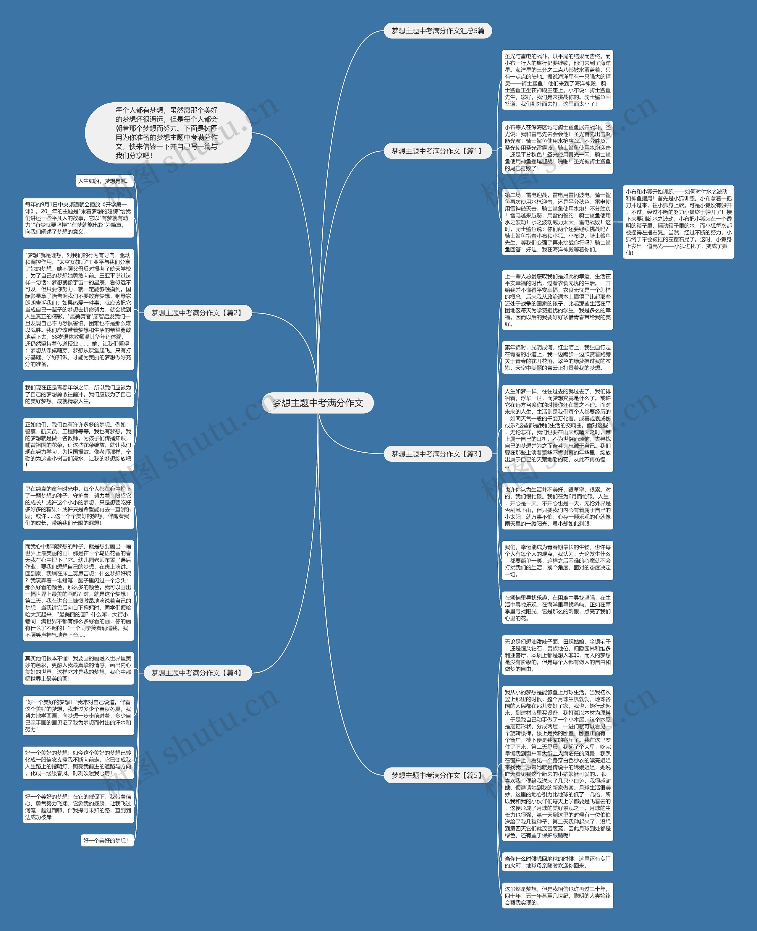 梦想主题中考满分作文