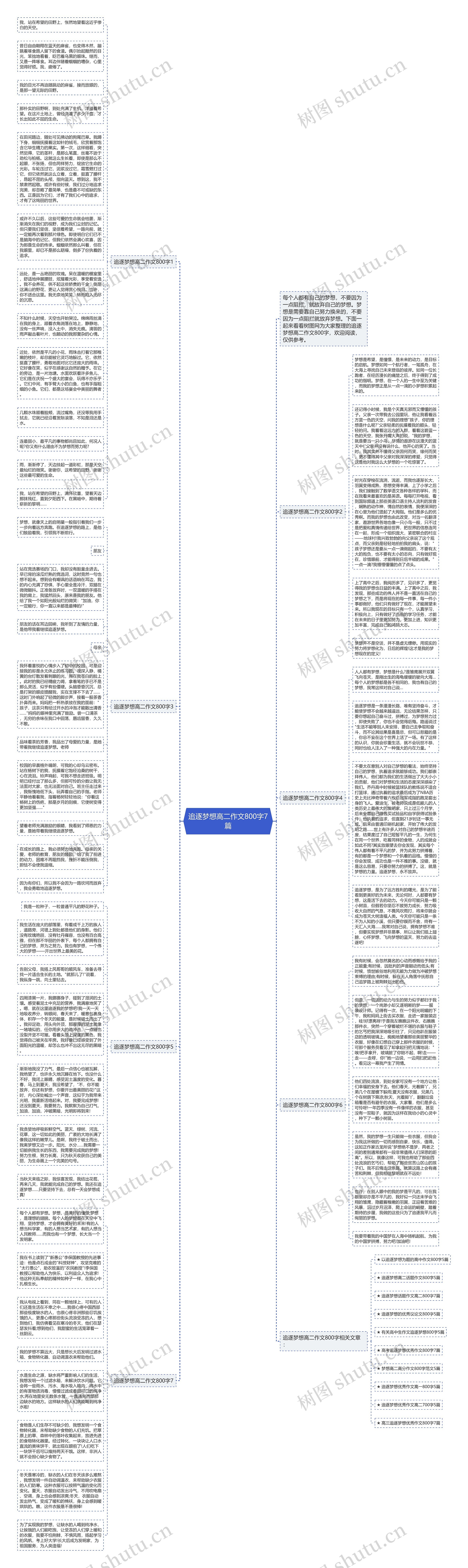 追逐梦想高二作文800字7篇思维导图