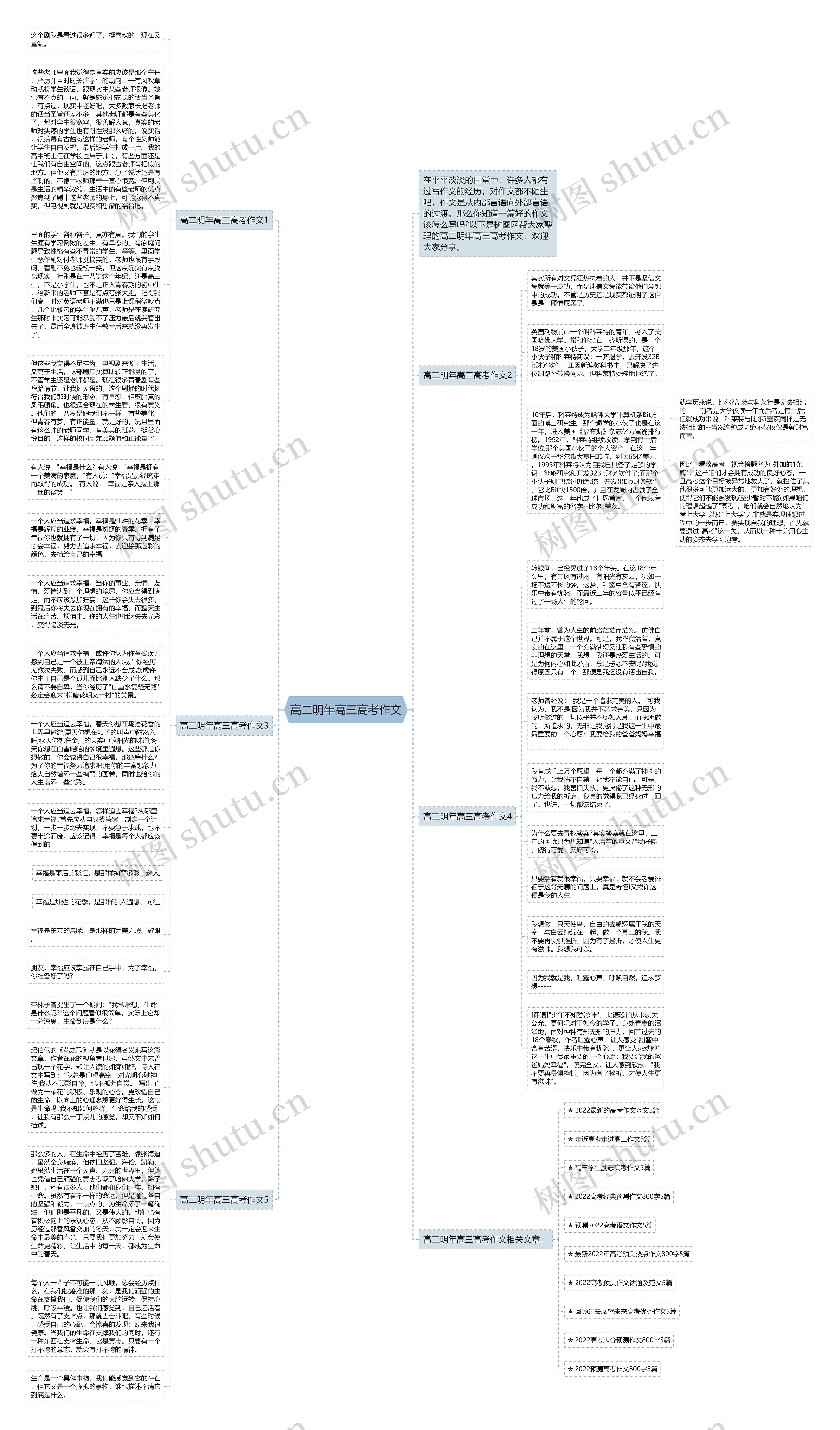 高二明年高三高考作文思维导图