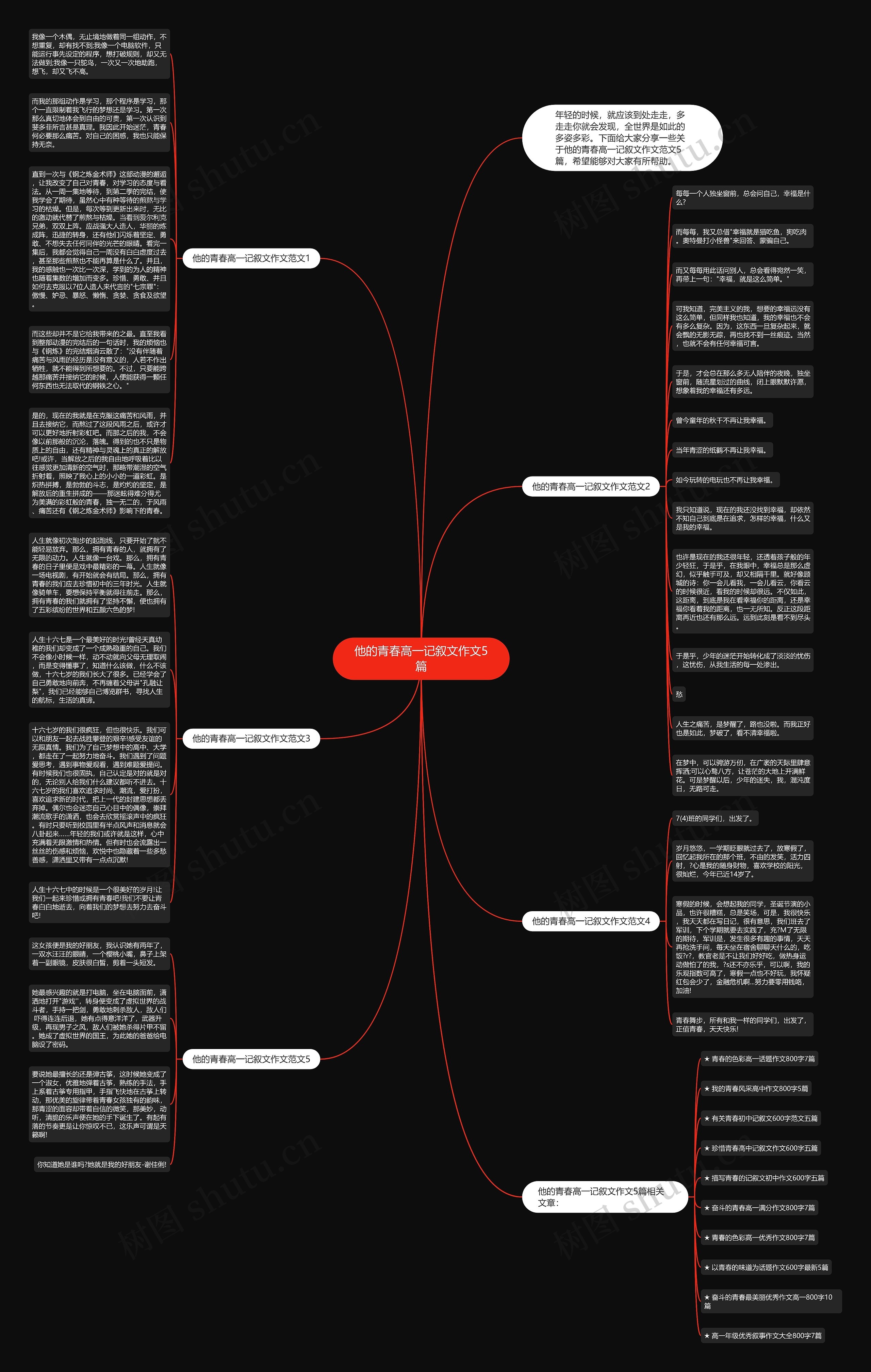 他的青春高一记叙文作文5篇思维导图