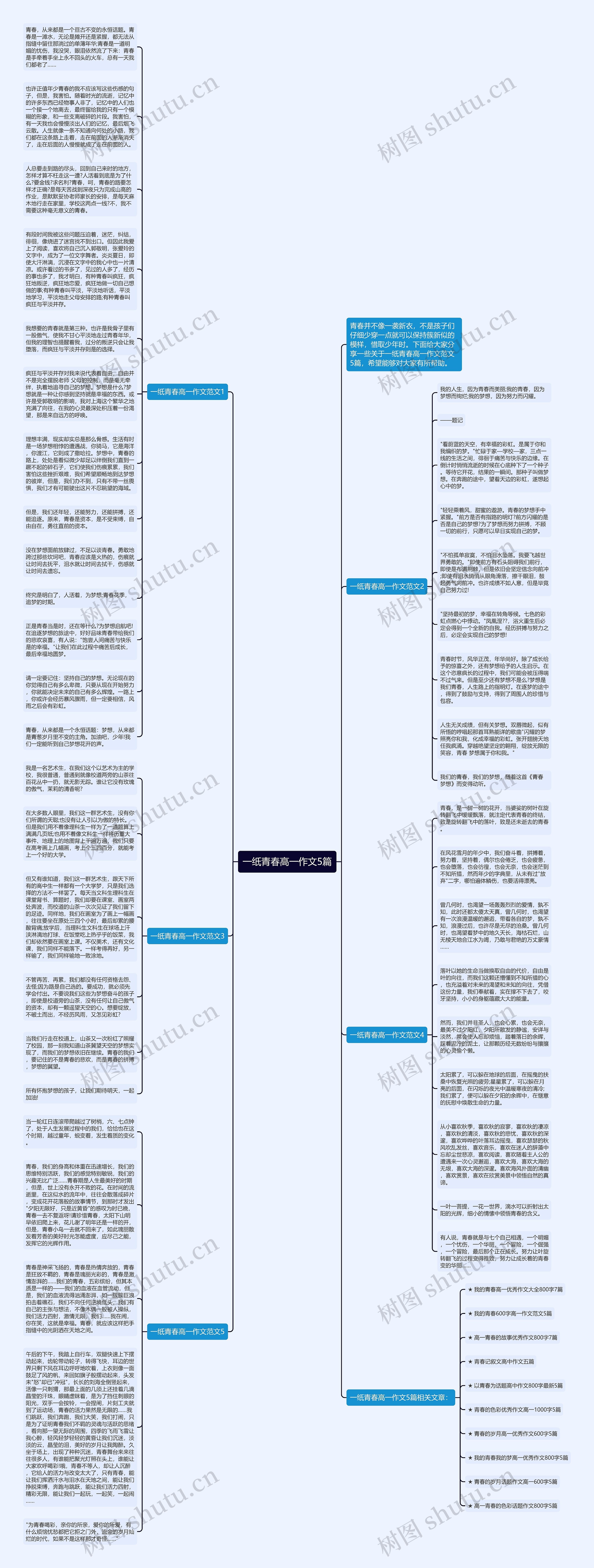 一纸青春高一作文5篇思维导图
