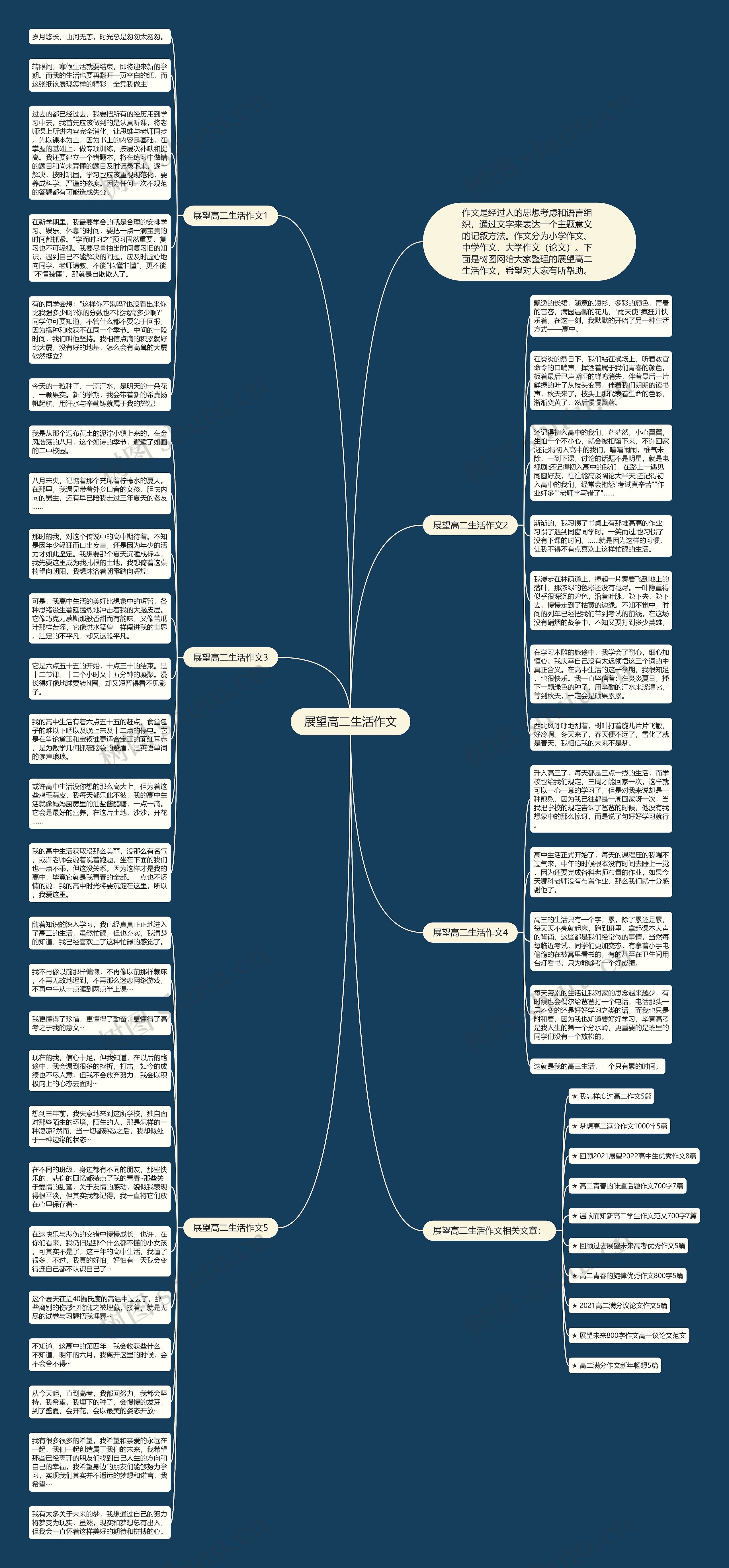 展望高二生活作文思维导图