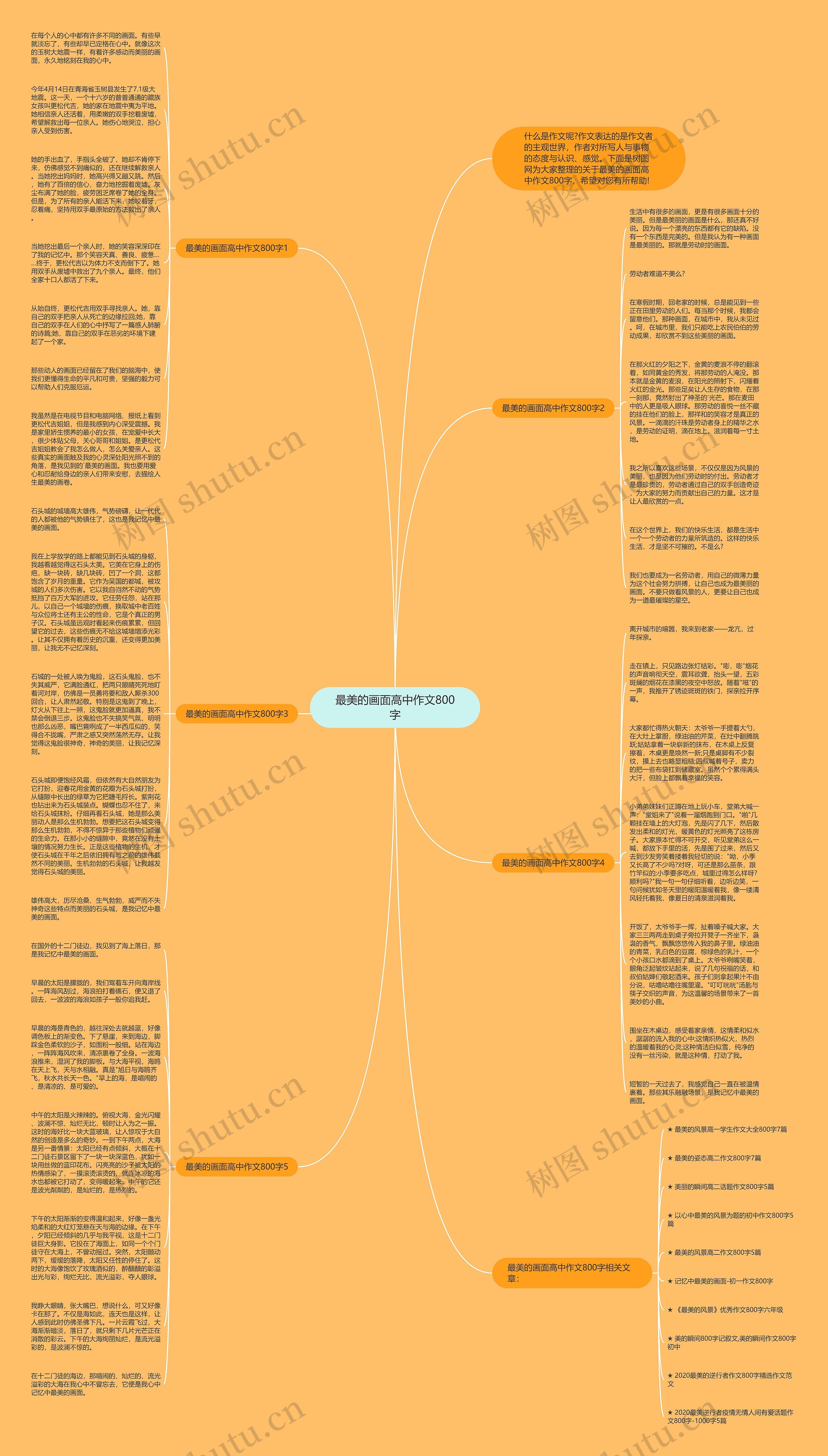 最美的画面高中作文800字思维导图
