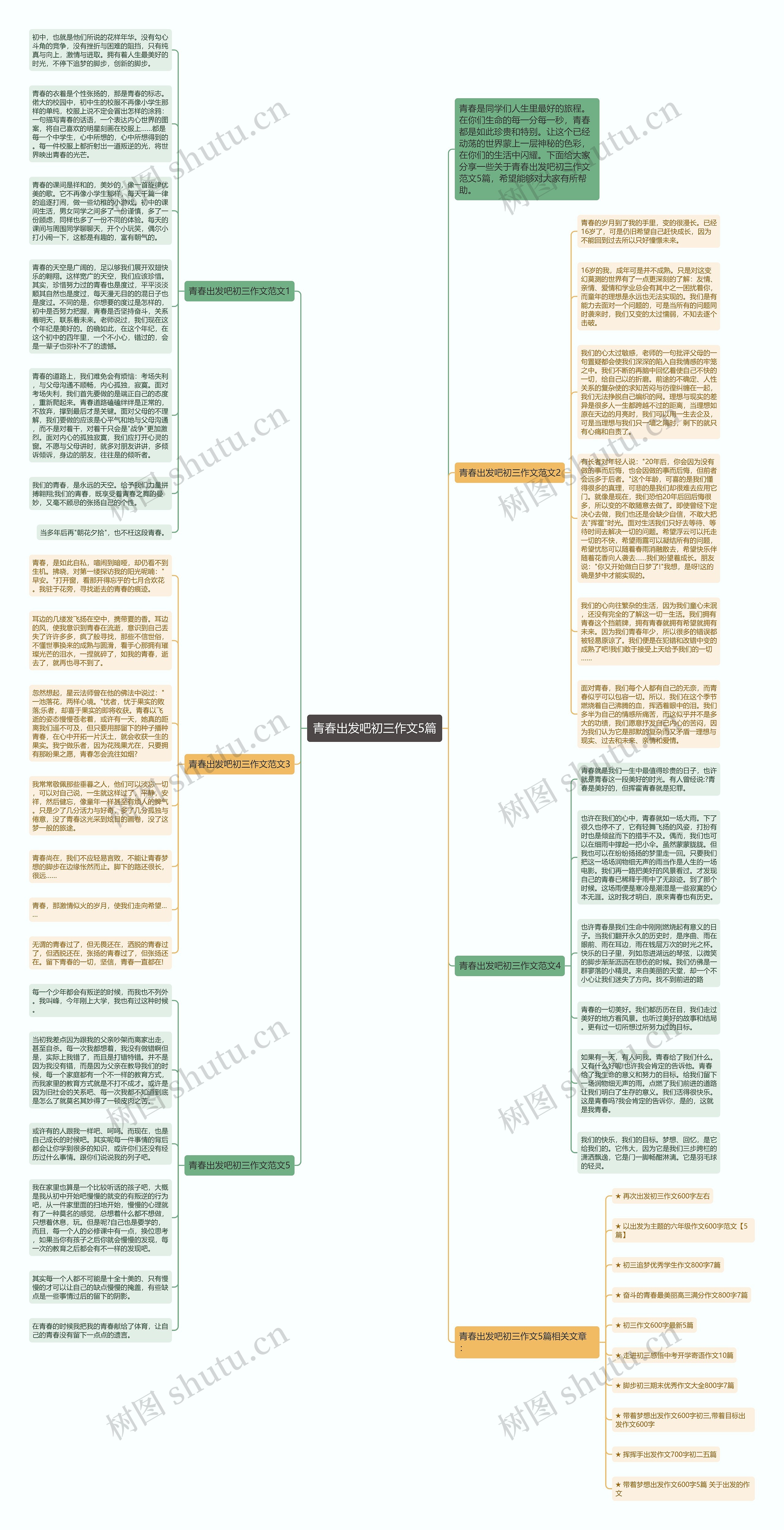 青春出发吧初三作文5篇思维导图