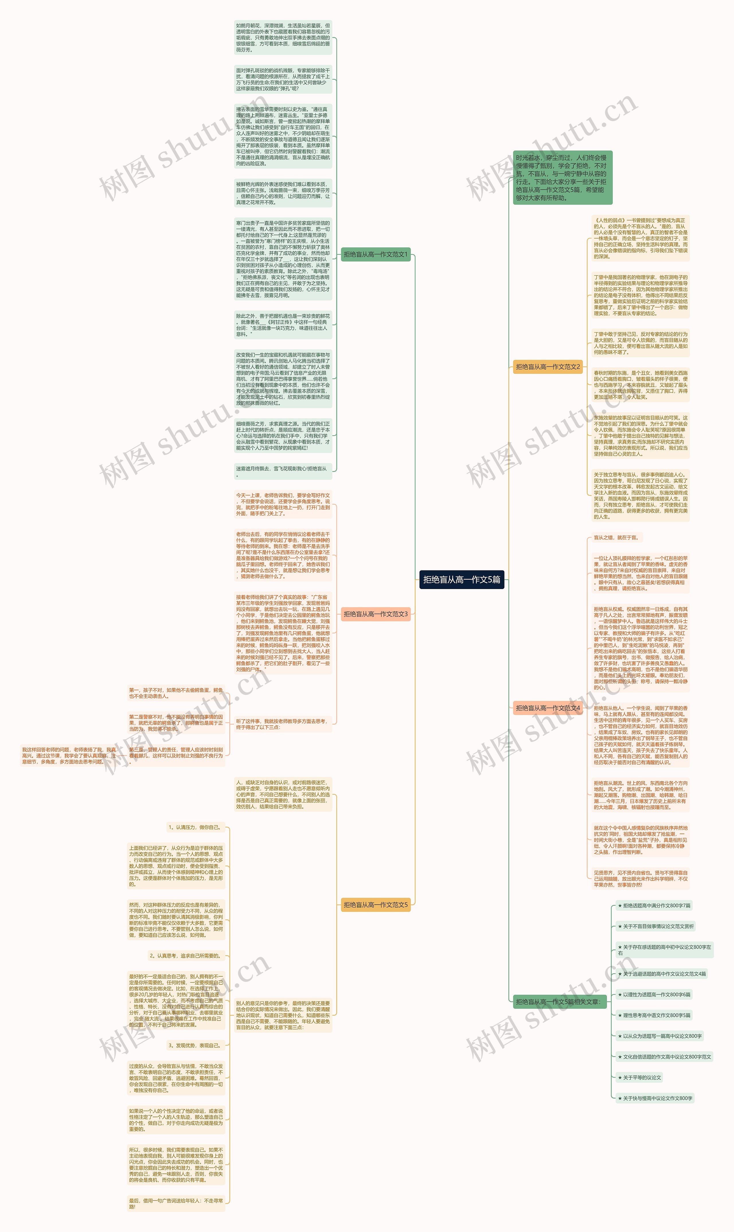 拒绝盲从高一作文5篇思维导图