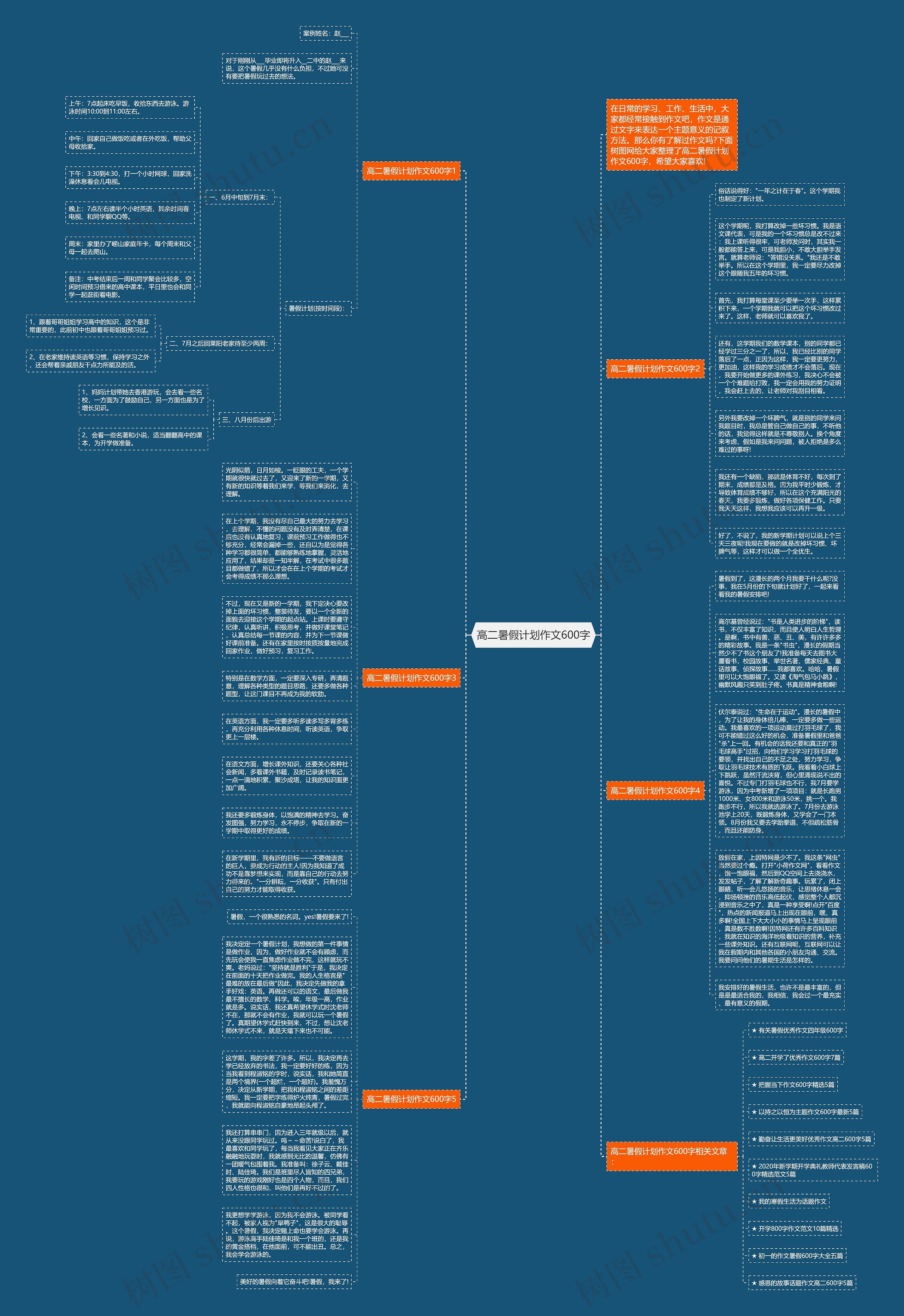高二暑假计划作文600字思维导图