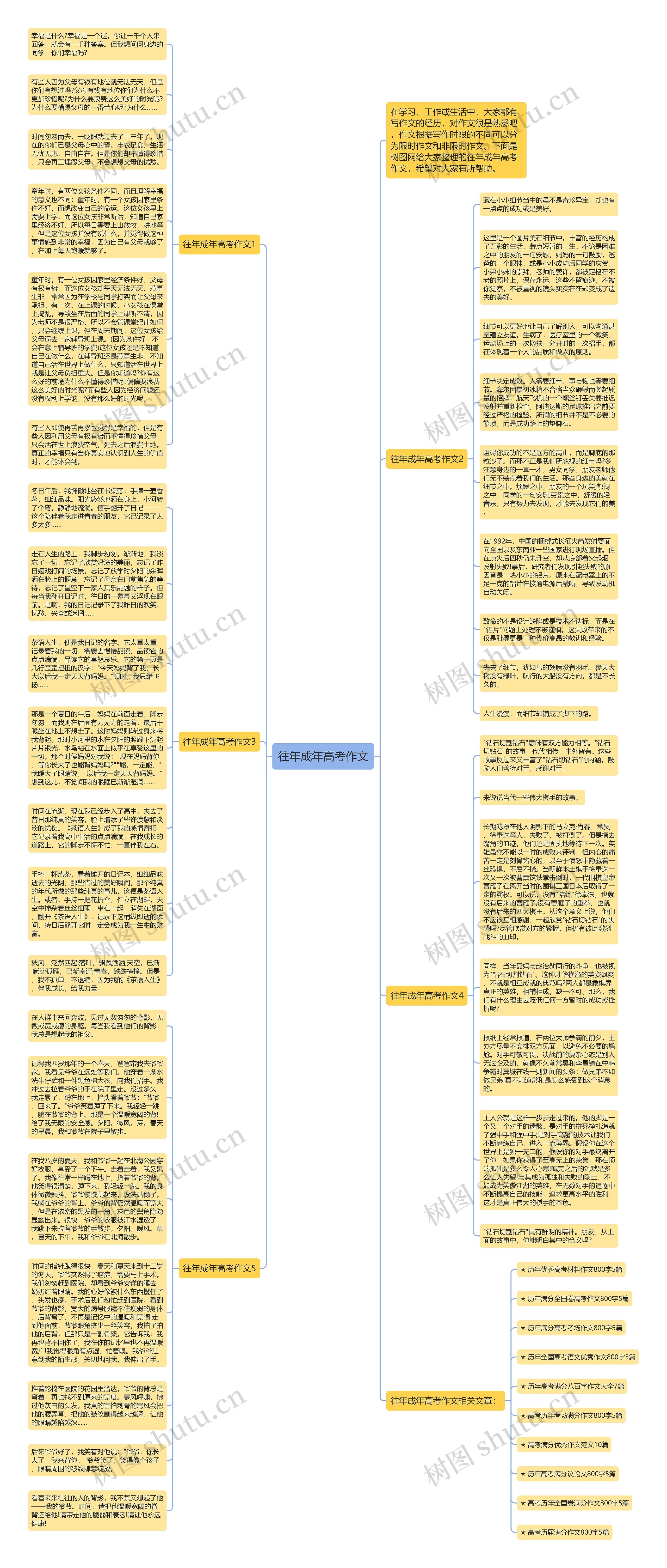 往年成年高考作文思维导图