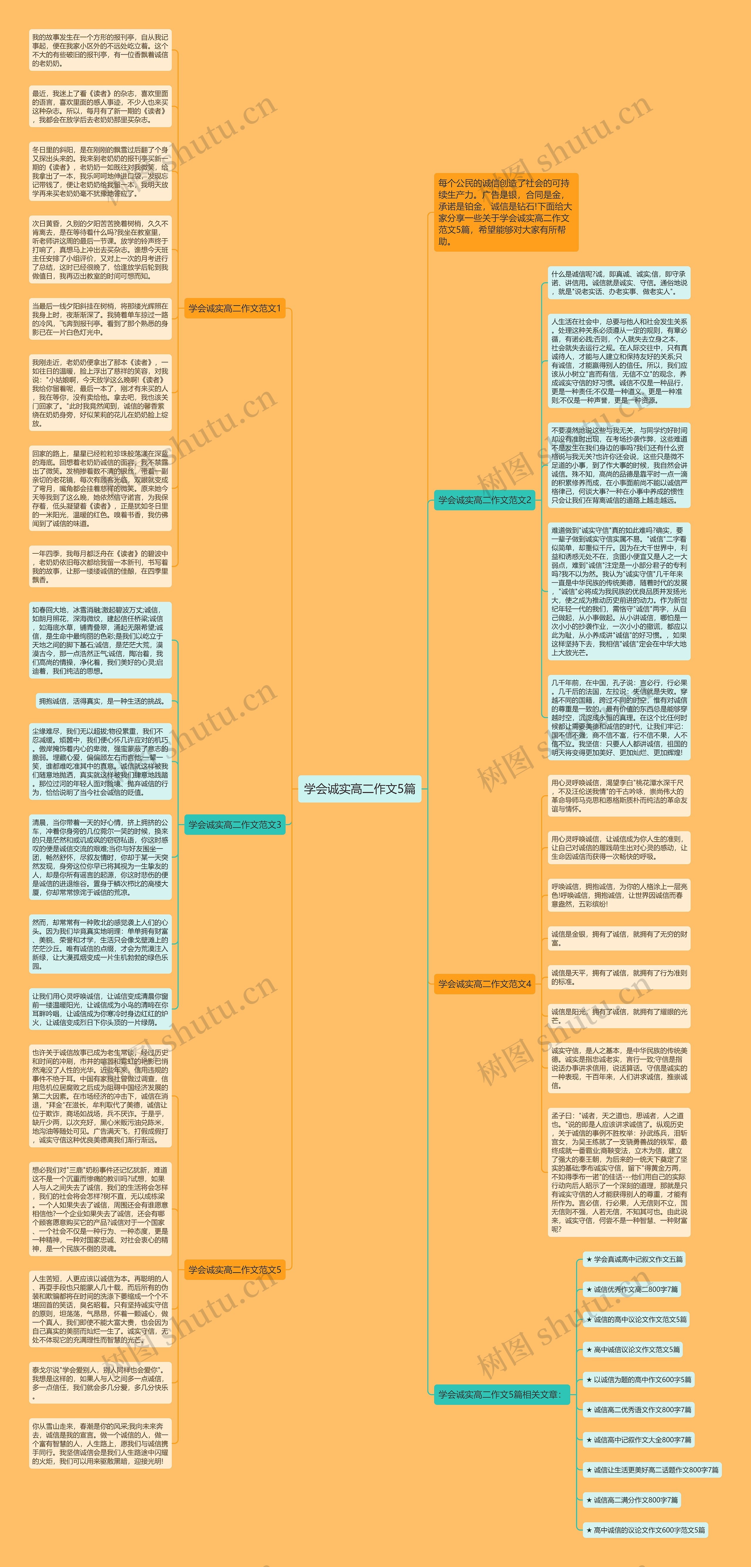 学会诚实高二作文5篇思维导图