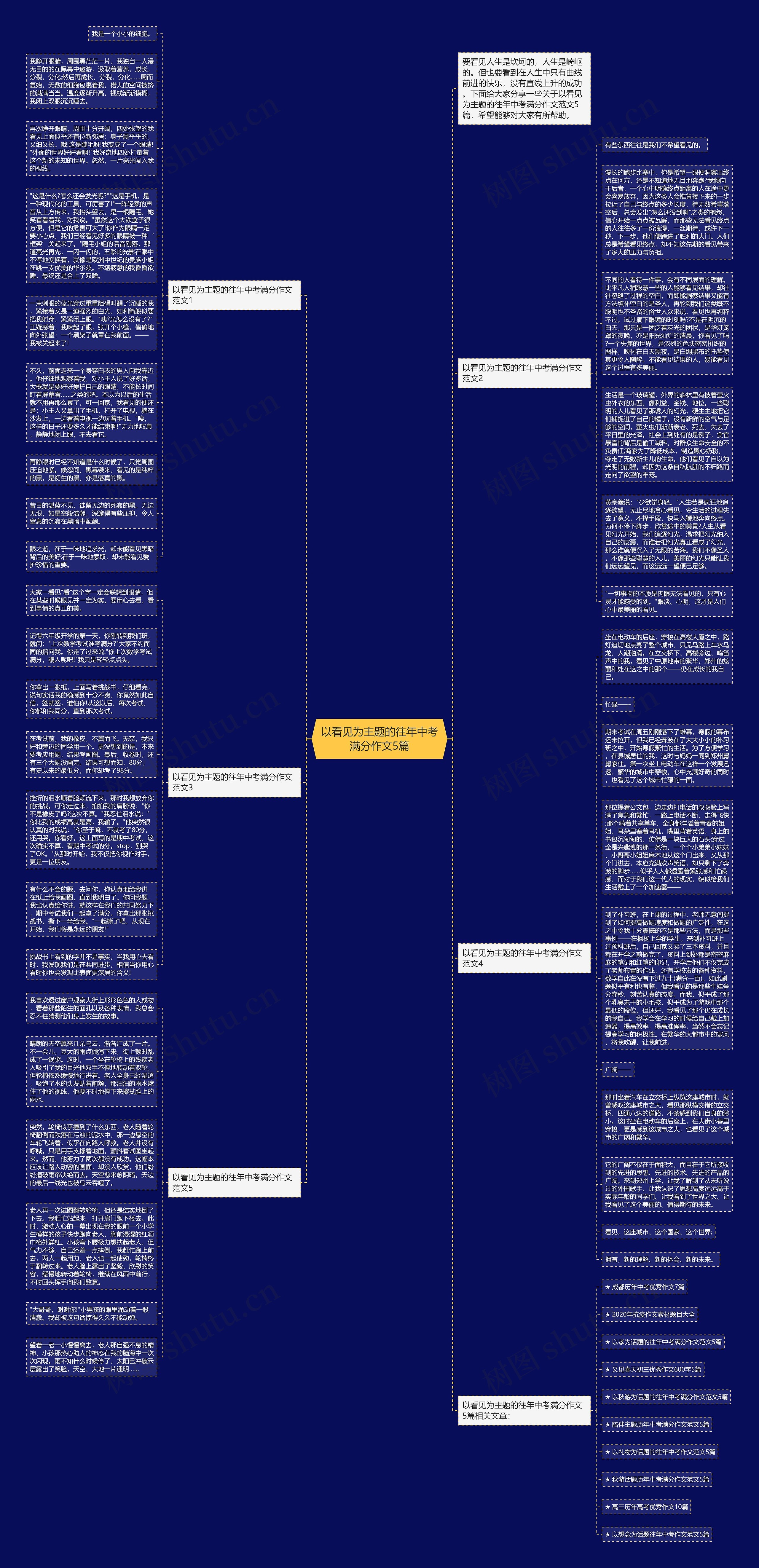 以看见为主题的往年中考满分作文5篇思维导图