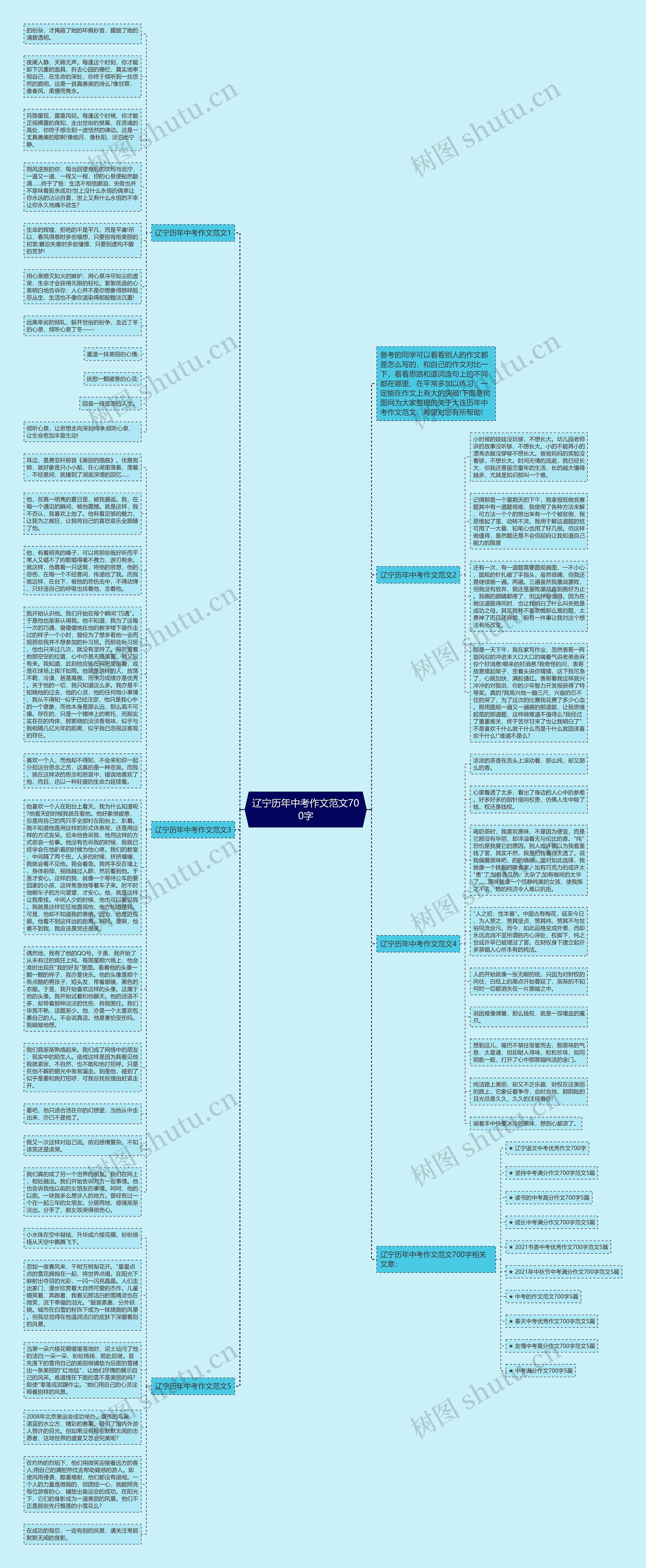 辽宁历年中考作文范文700字思维导图