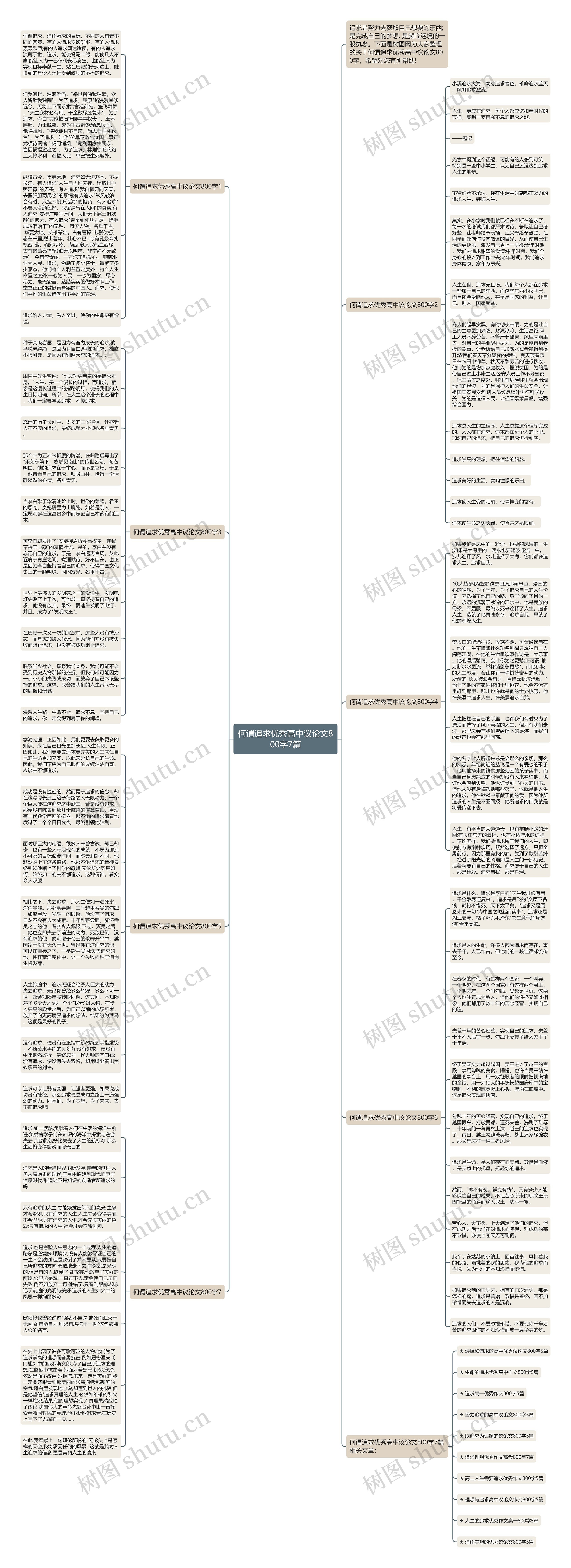 何谓追求优秀高中议论文800字7篇思维导图