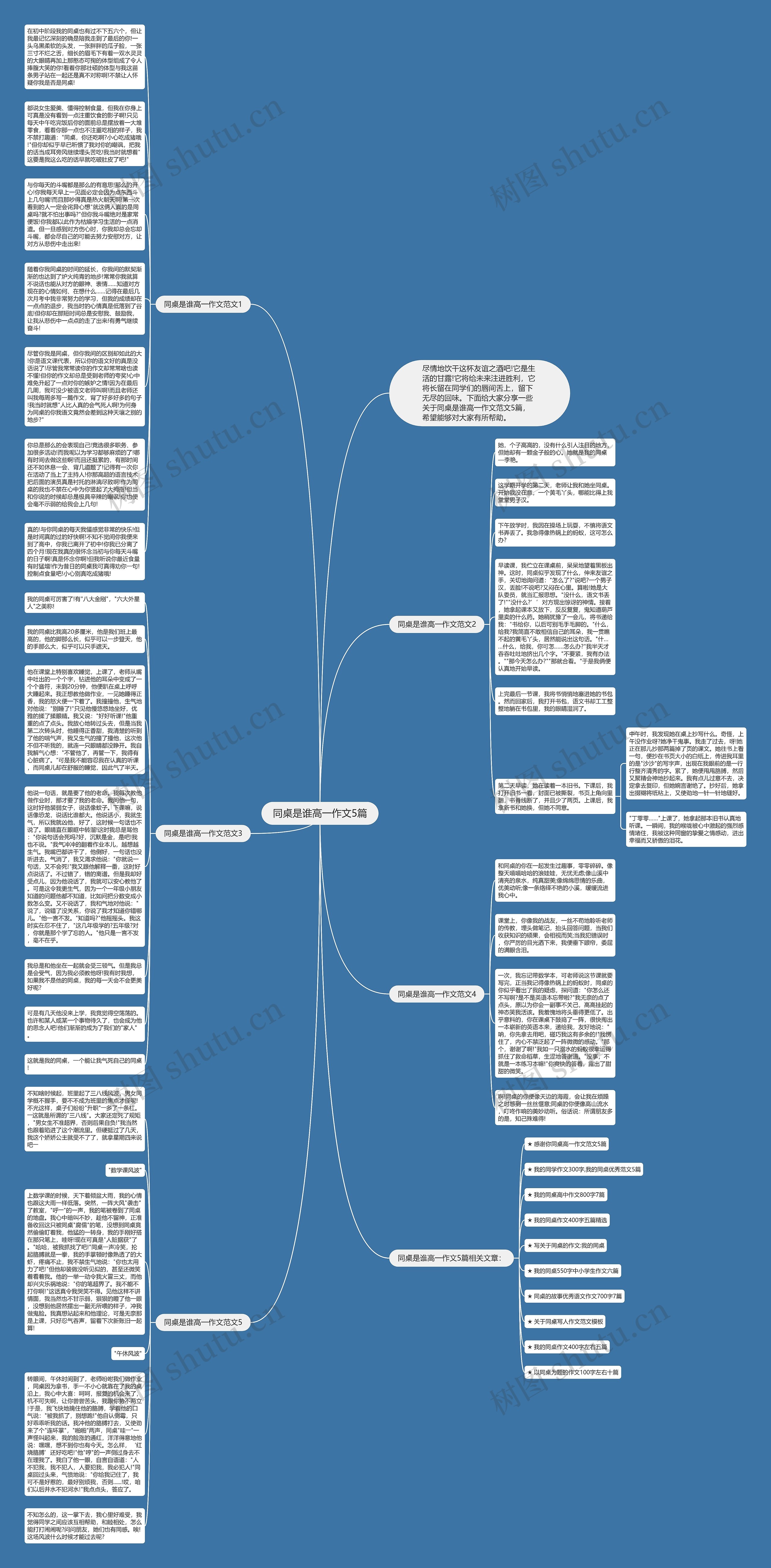 同桌是谁高一作文5篇思维导图