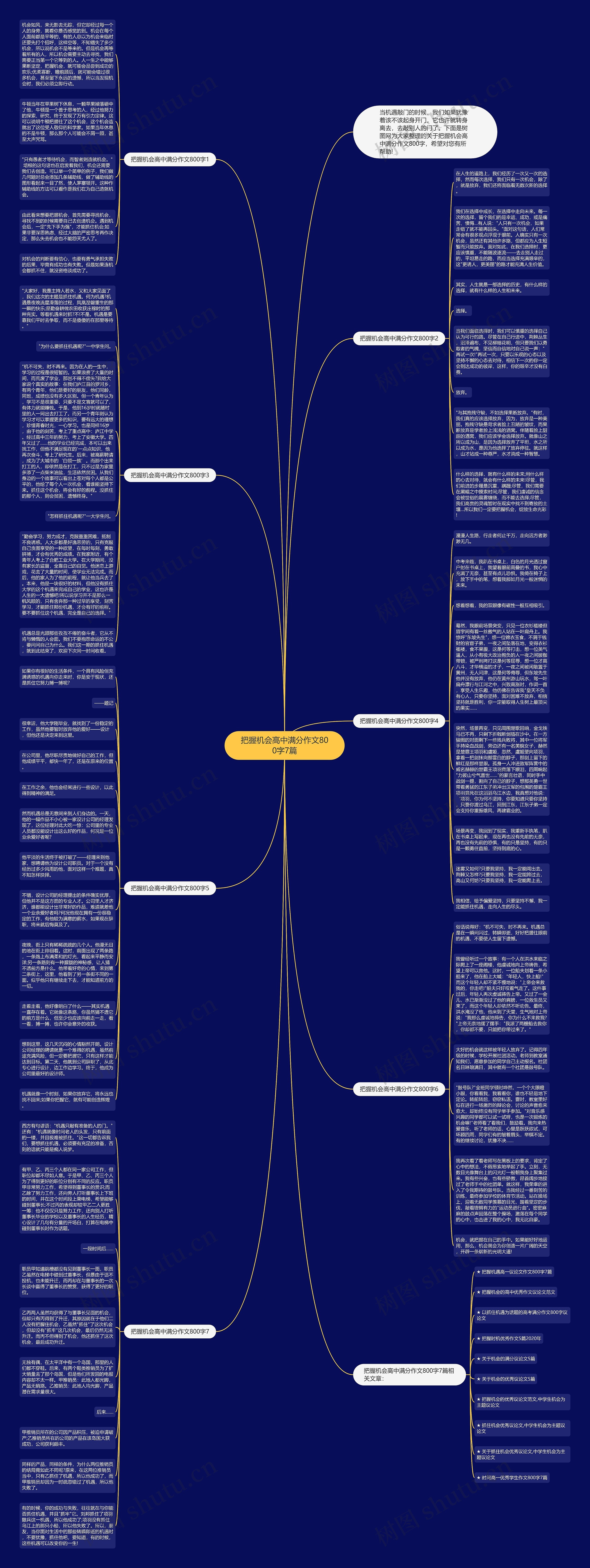 把握机会高中满分作文800字7篇思维导图