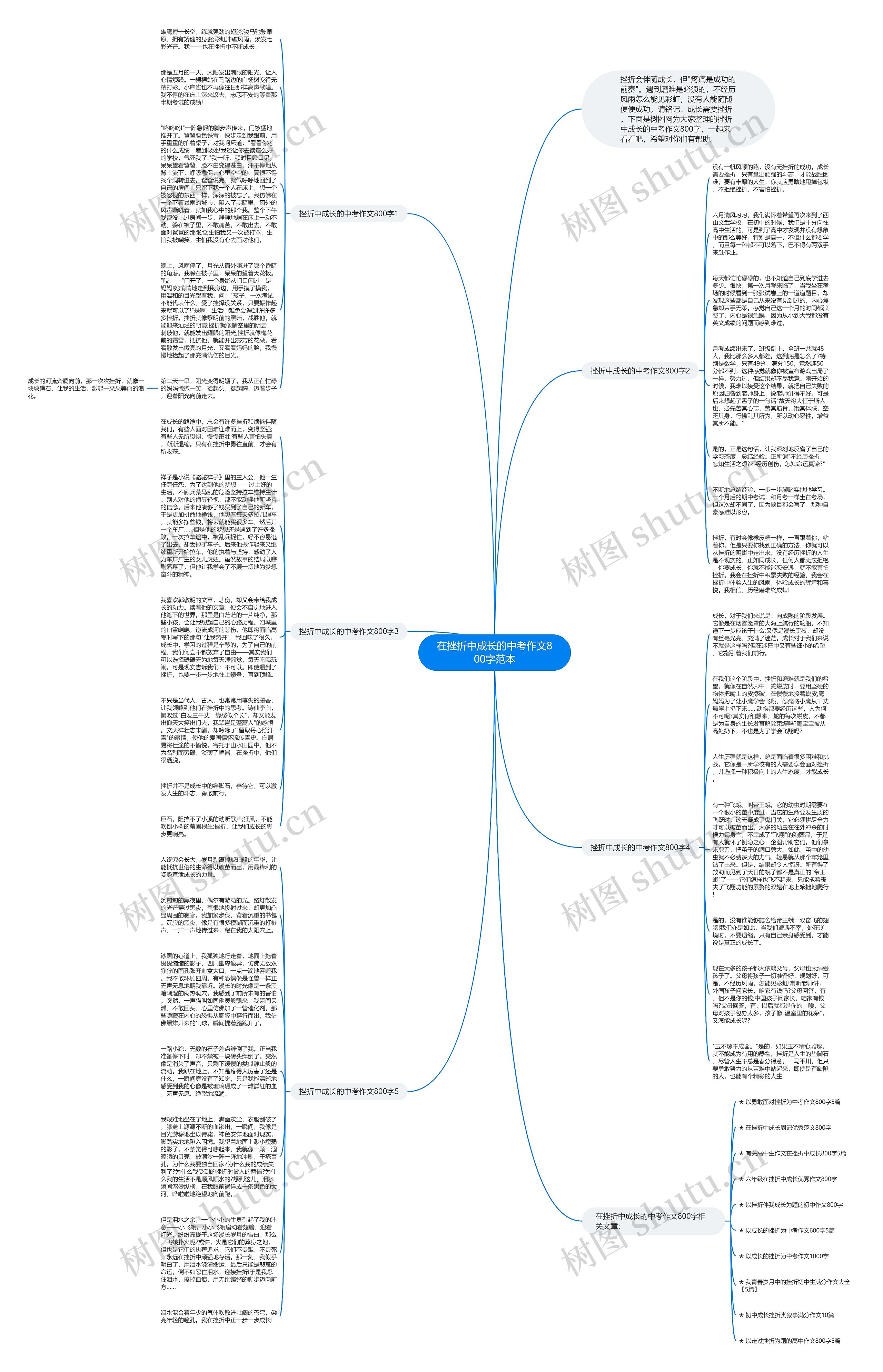 在挫折中成长的中考作文800字范本思维导图