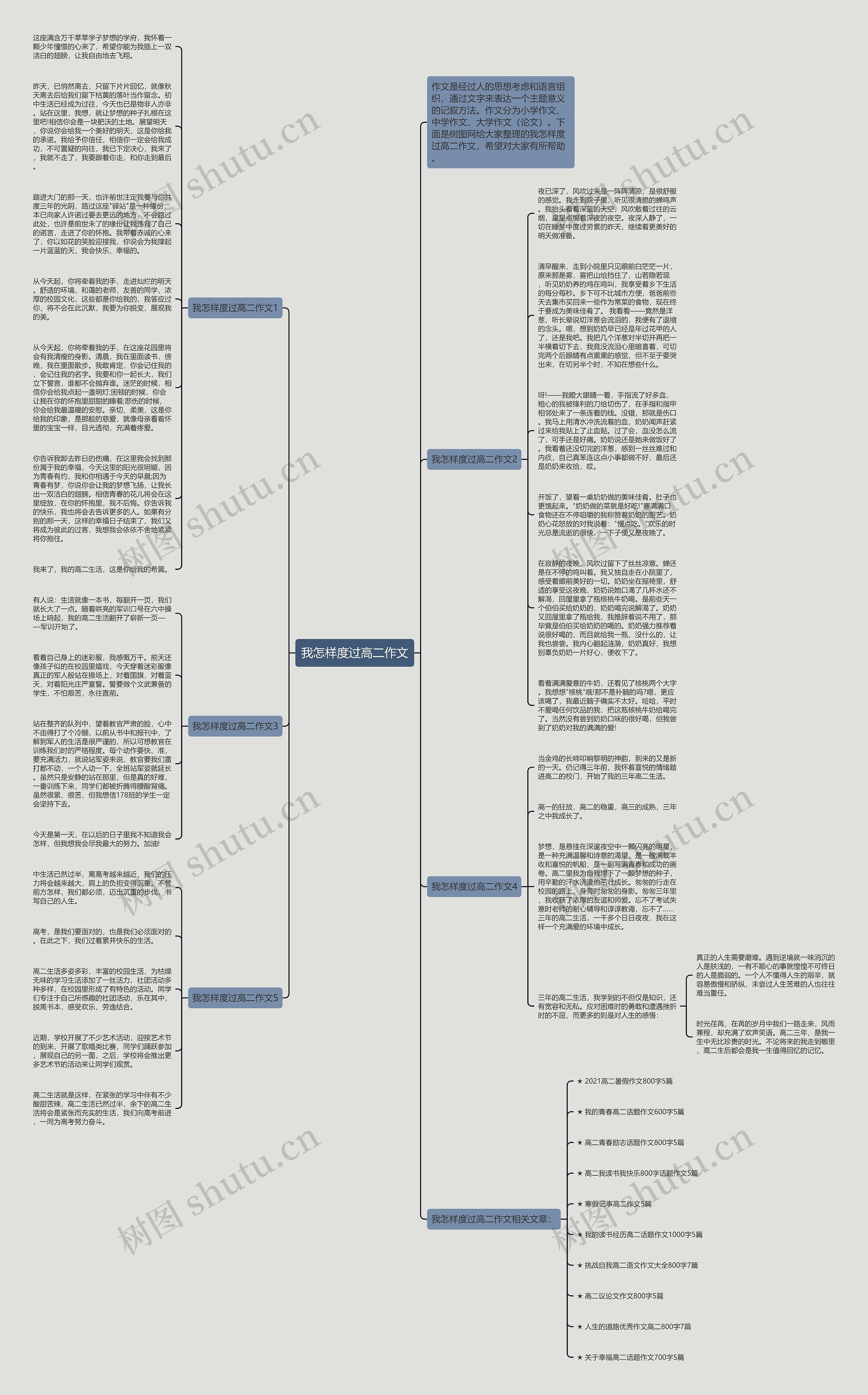 我怎样度过高二作文思维导图