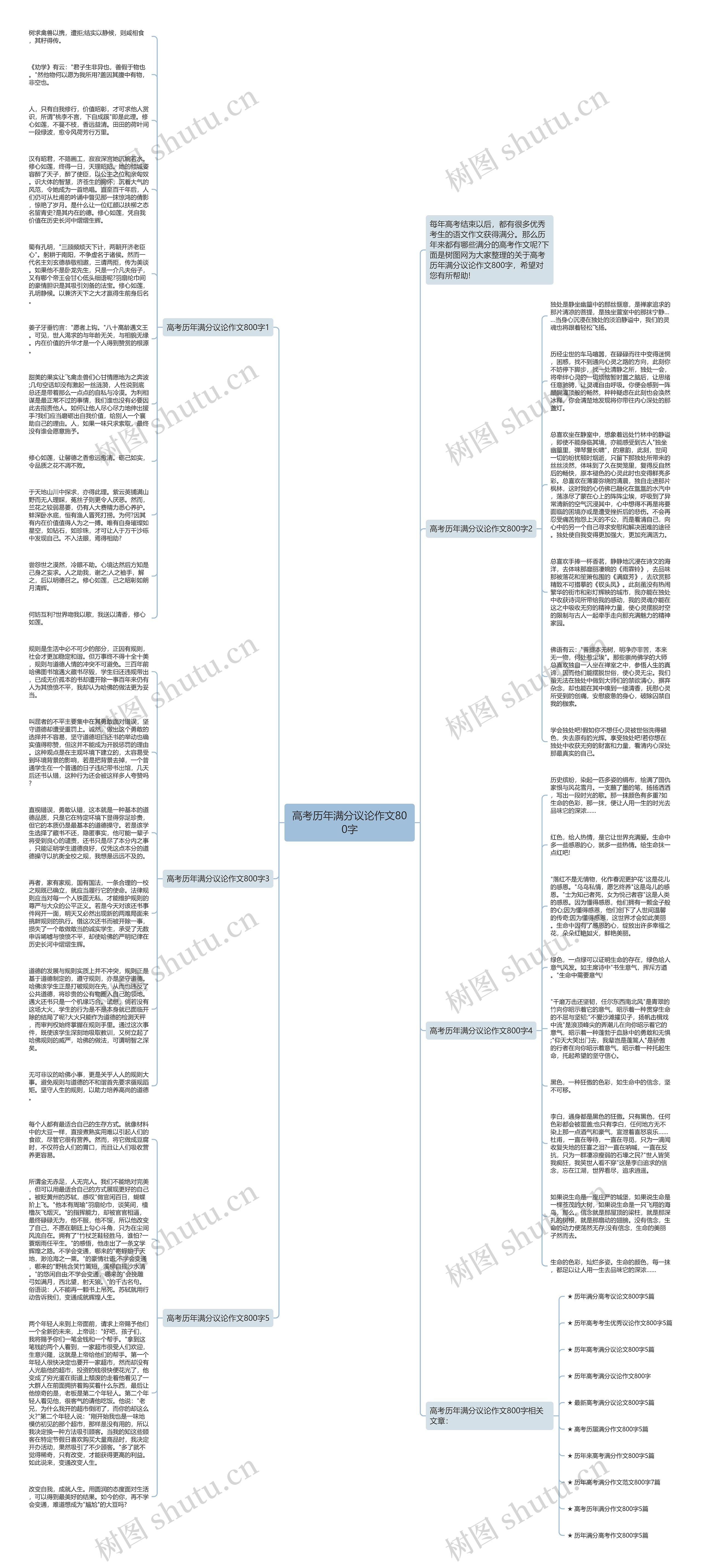 高考历年满分议论作文800字思维导图