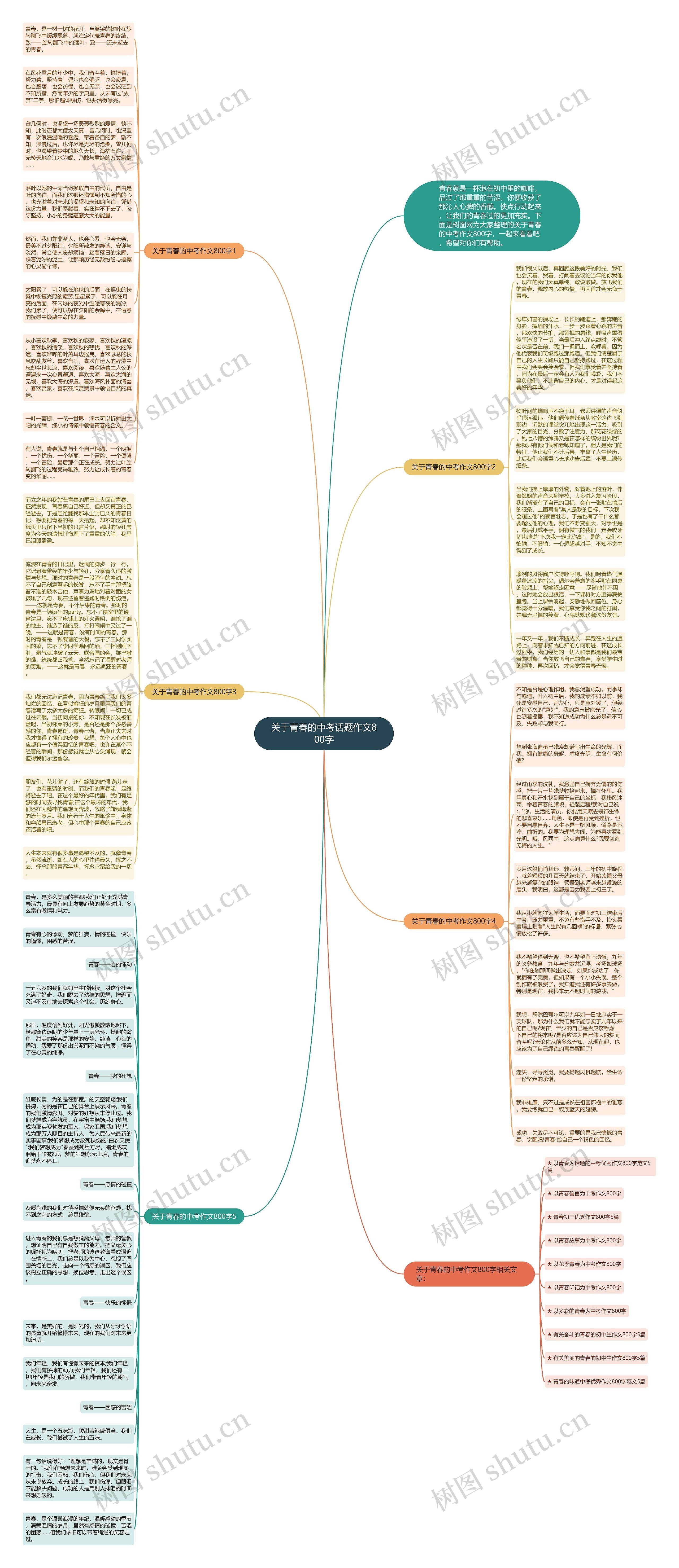 关于青春的中考话题作文800字思维导图