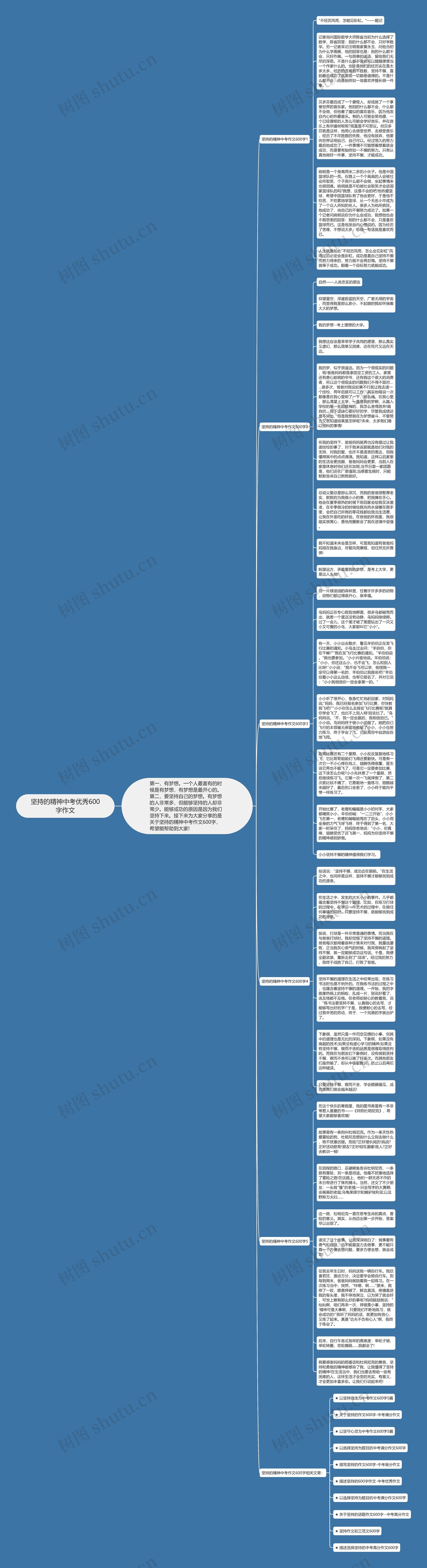 坚持的精神中考优秀600字作文思维导图