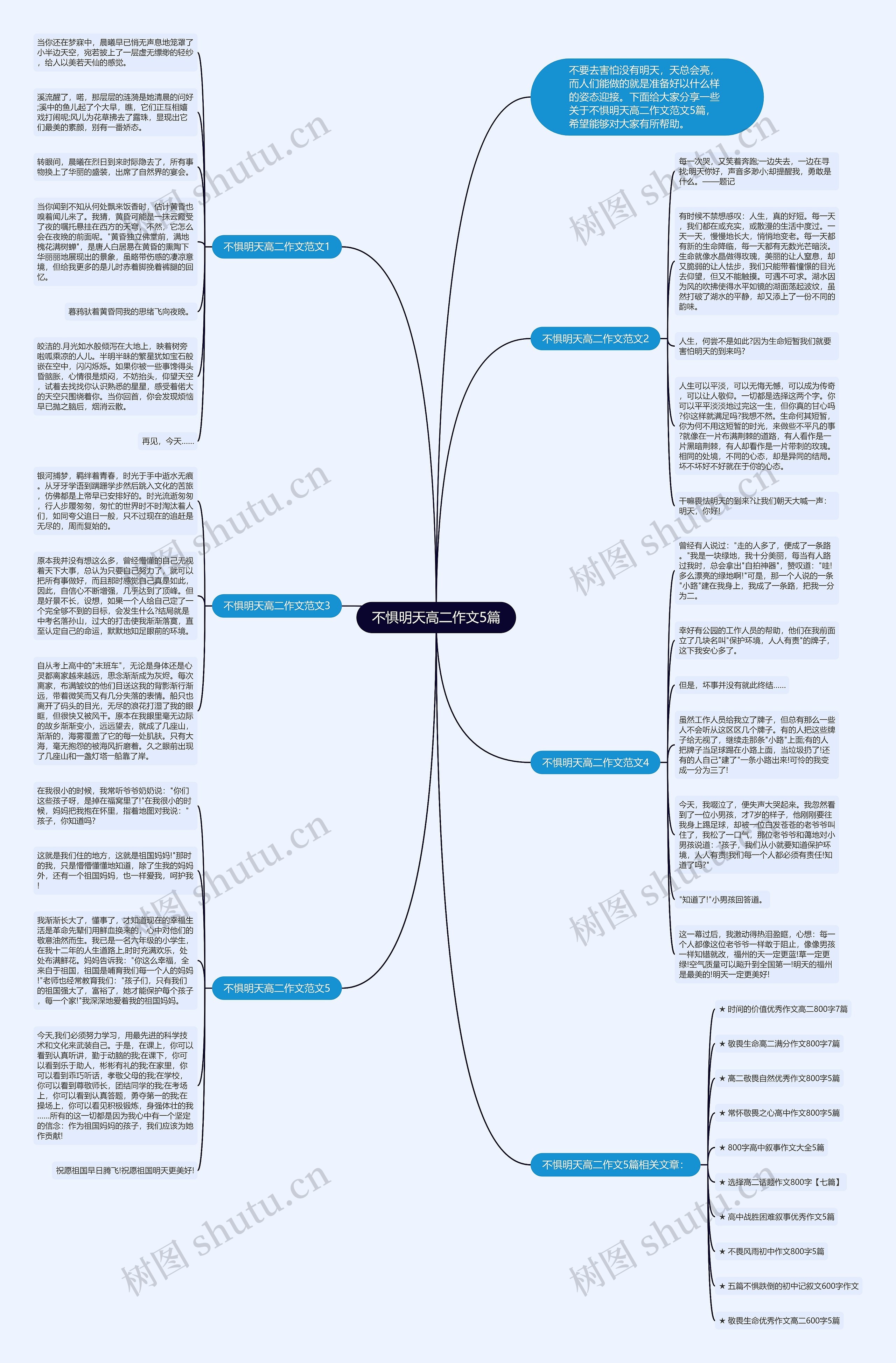 不惧明天高二作文5篇思维导图