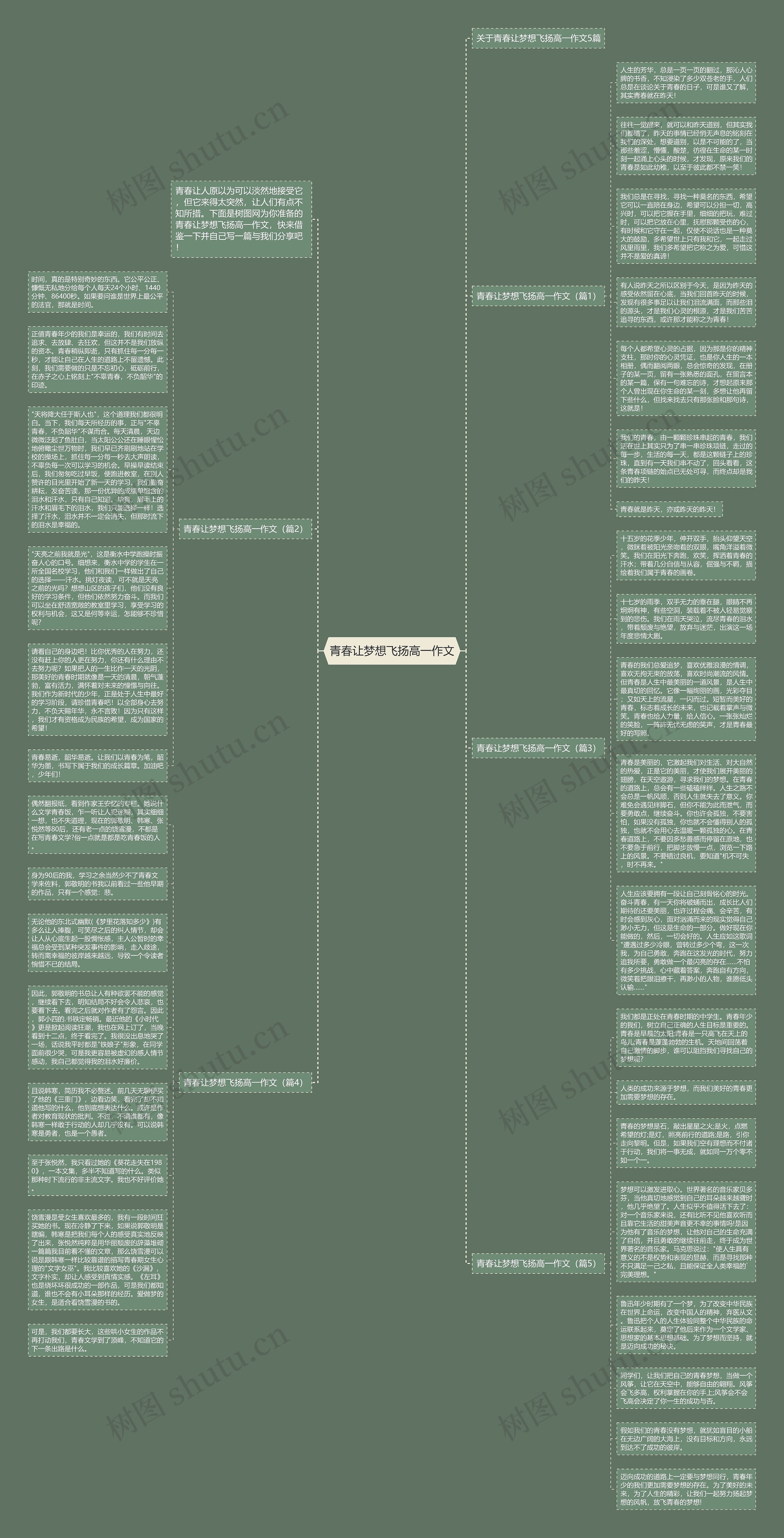 青春让梦想飞扬高一作文思维导图