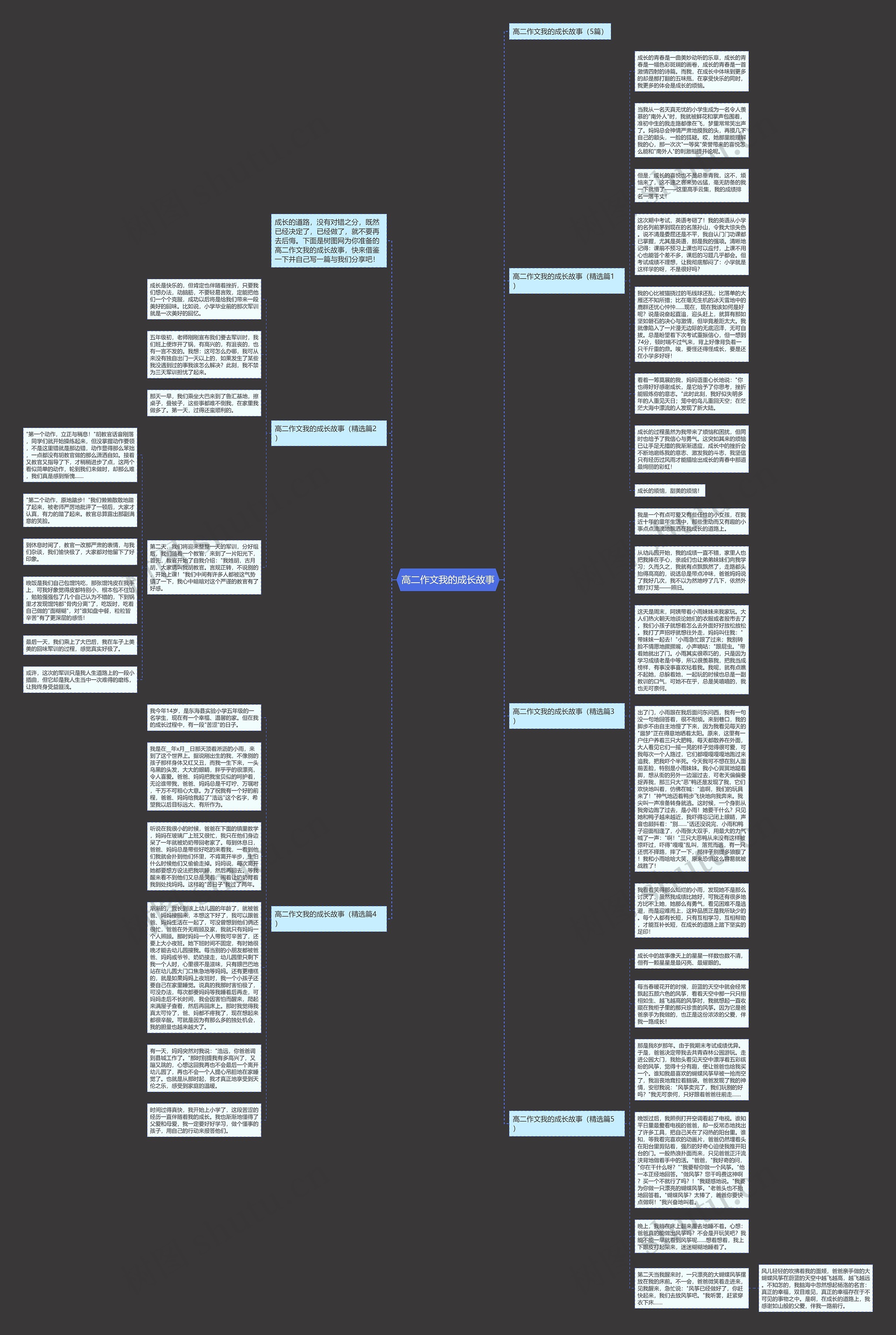 高二作文我的成长故事思维导图