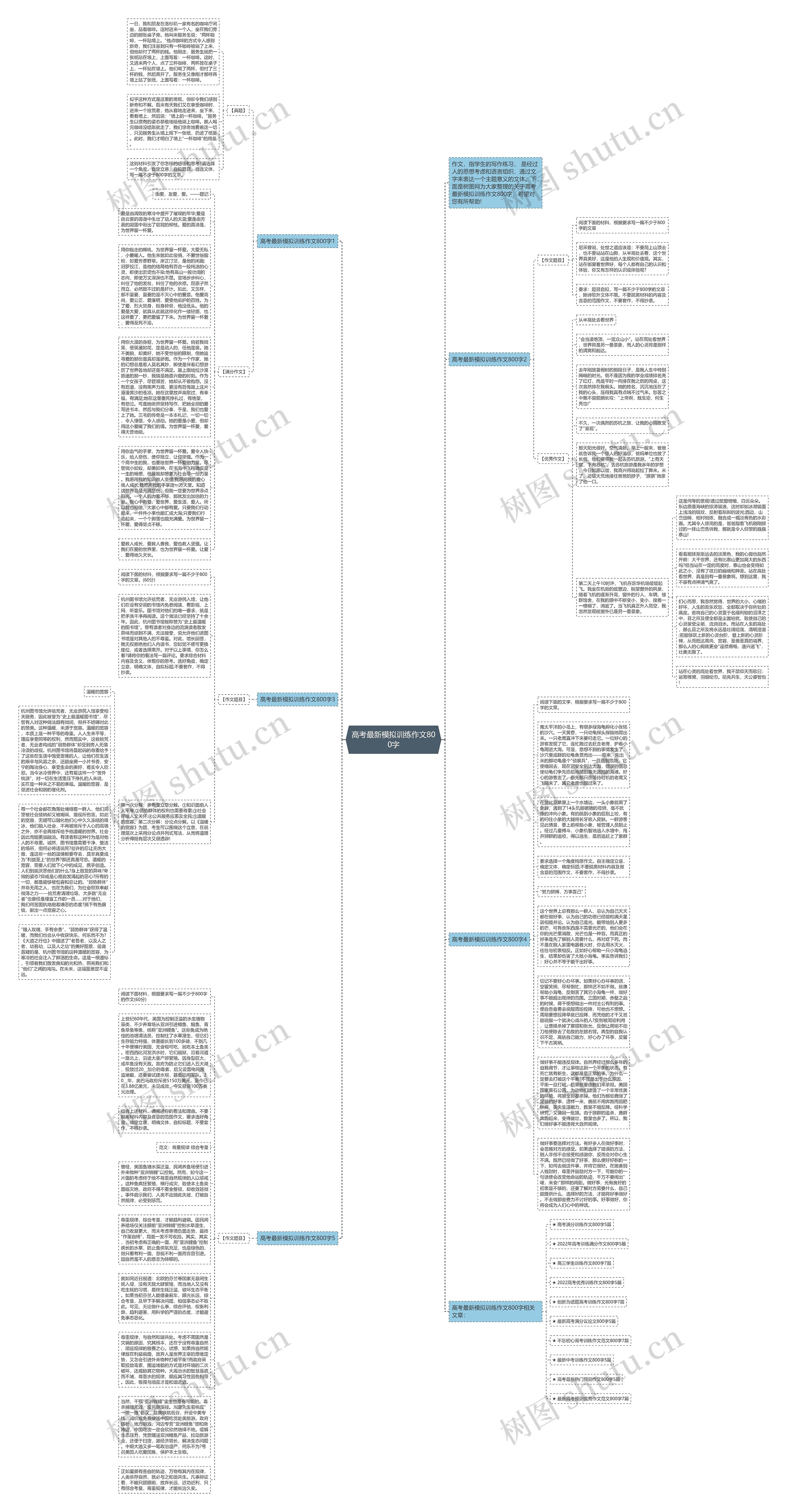 高考最新模拟训练作文800字思维导图