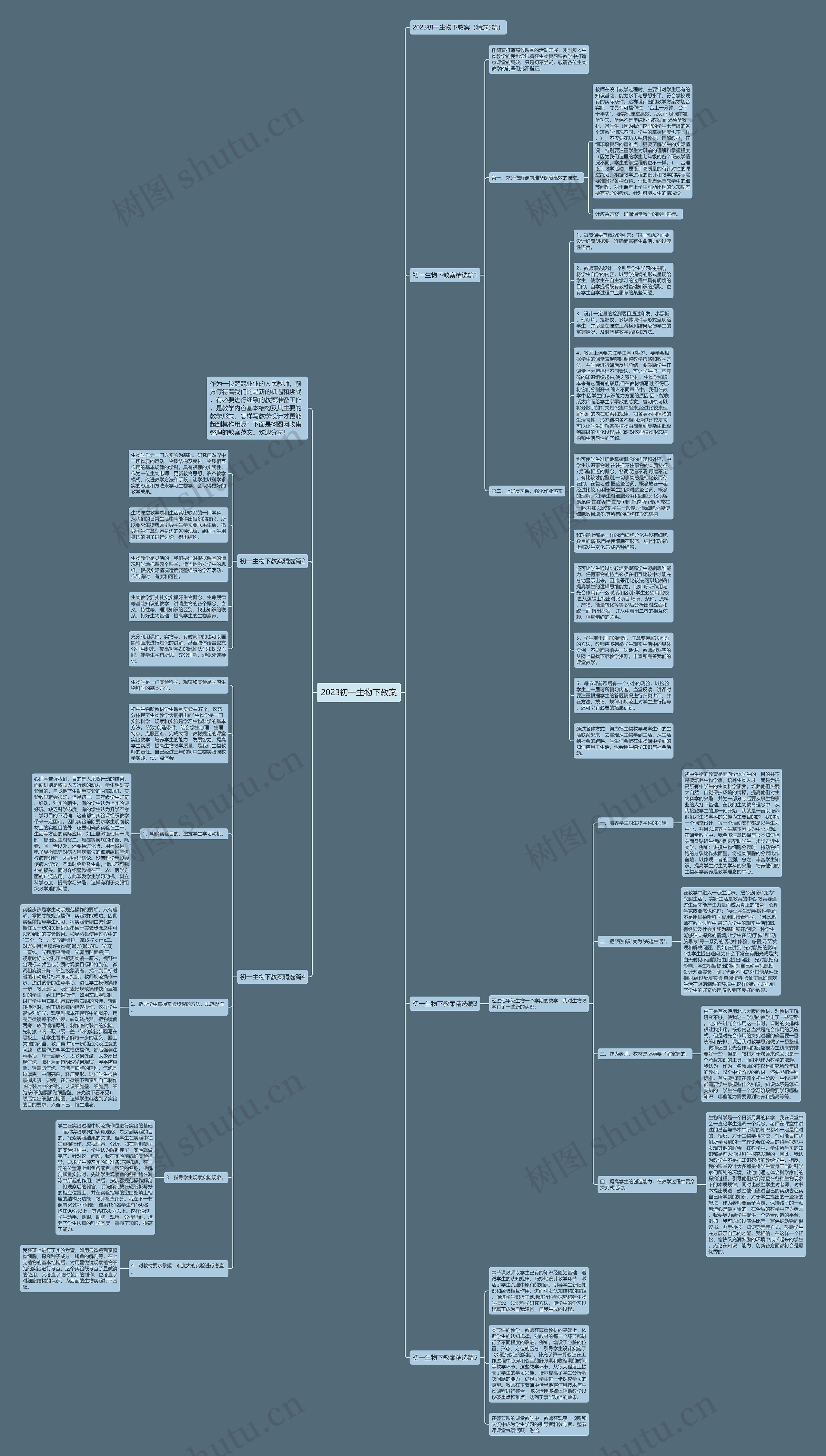 2023初一生物下教案思维导图
