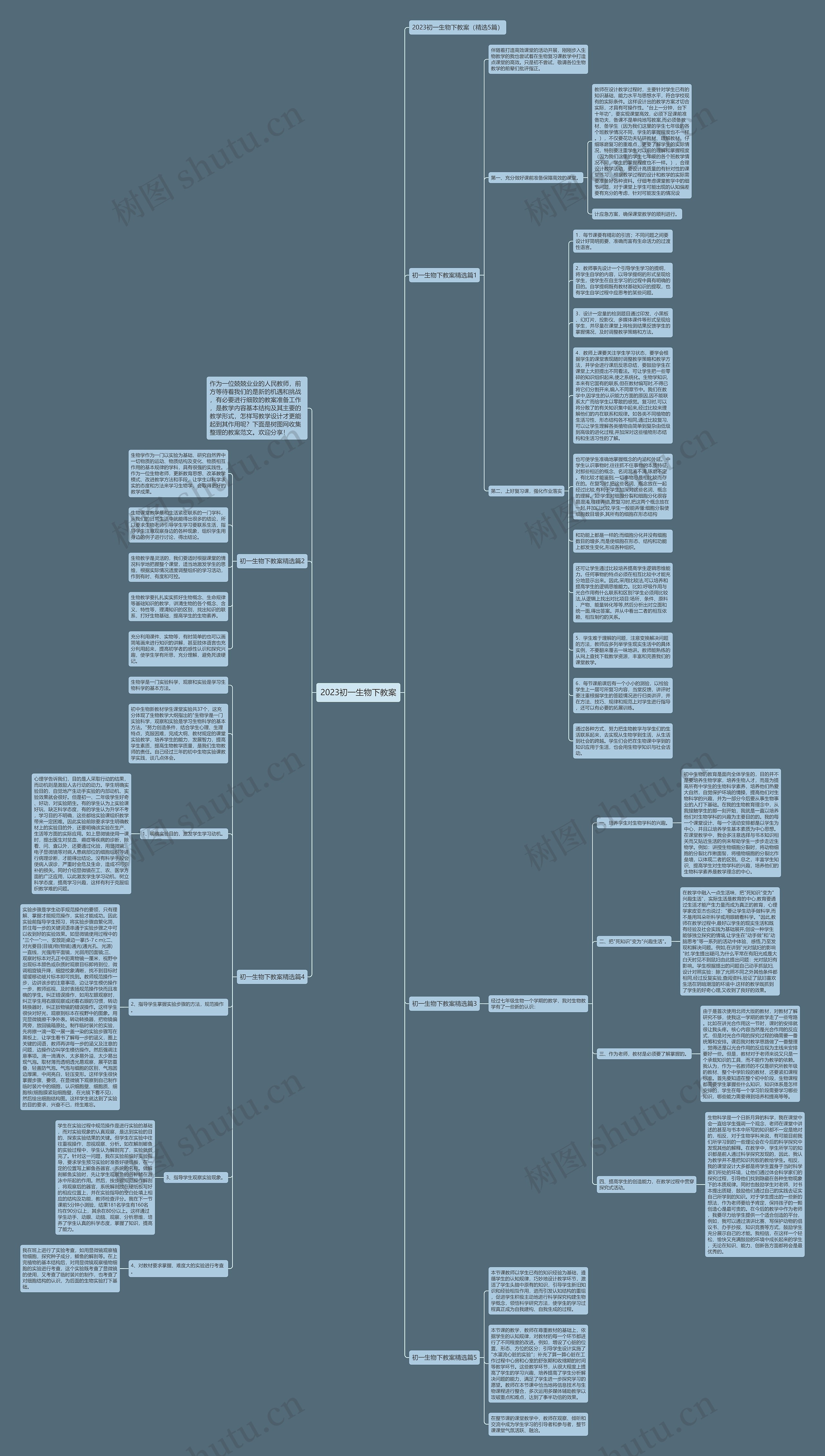 2023初一生物下教案思维导图高清图 2023初一生物下教案思维导图