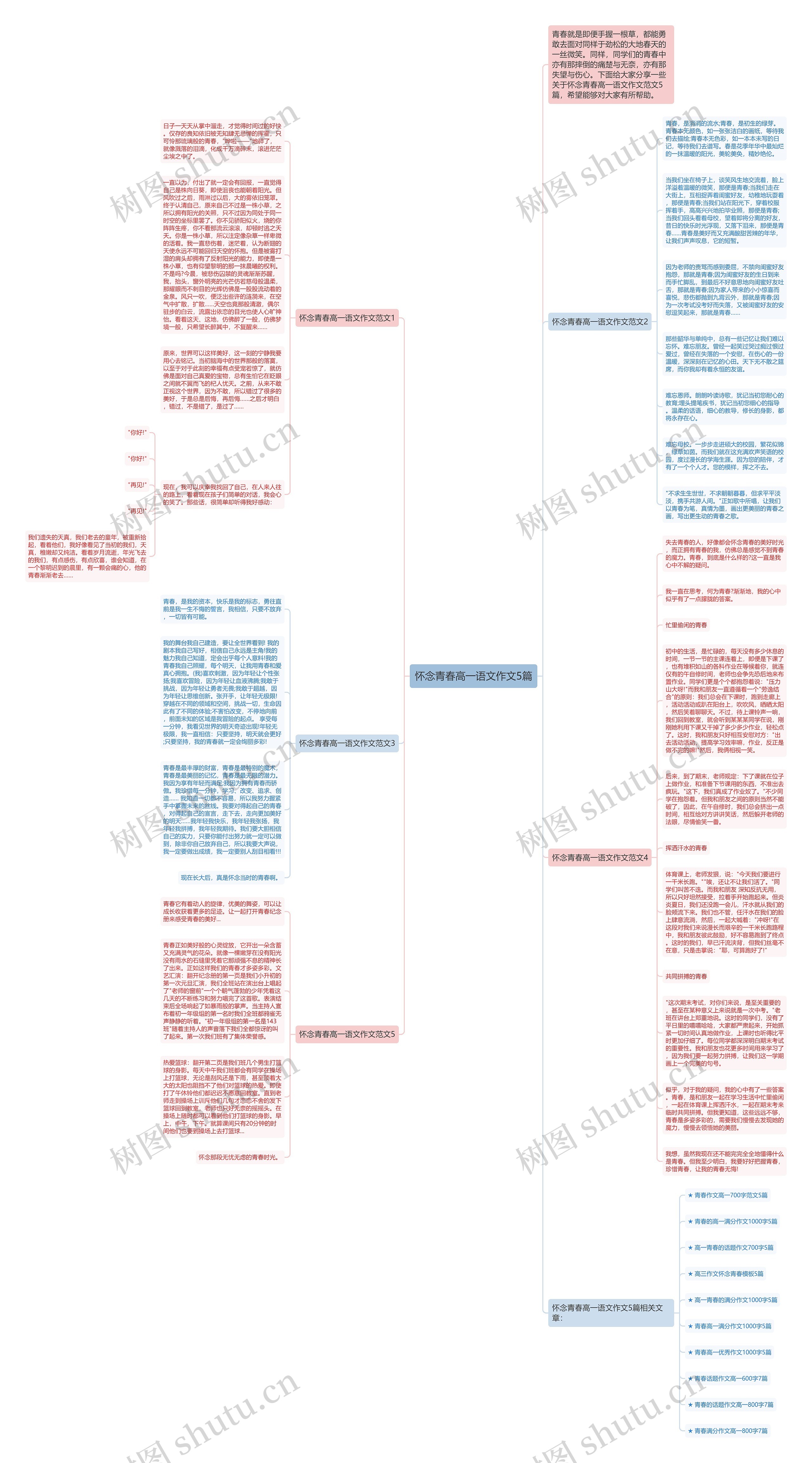 怀念青春高一语文作文5篇思维导图